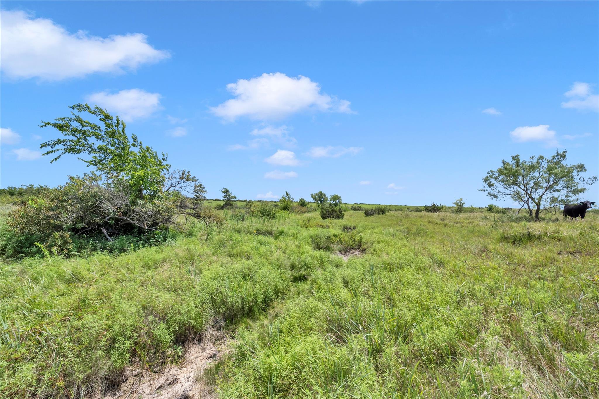 10600 County Road 210 Rd Property Photo 33