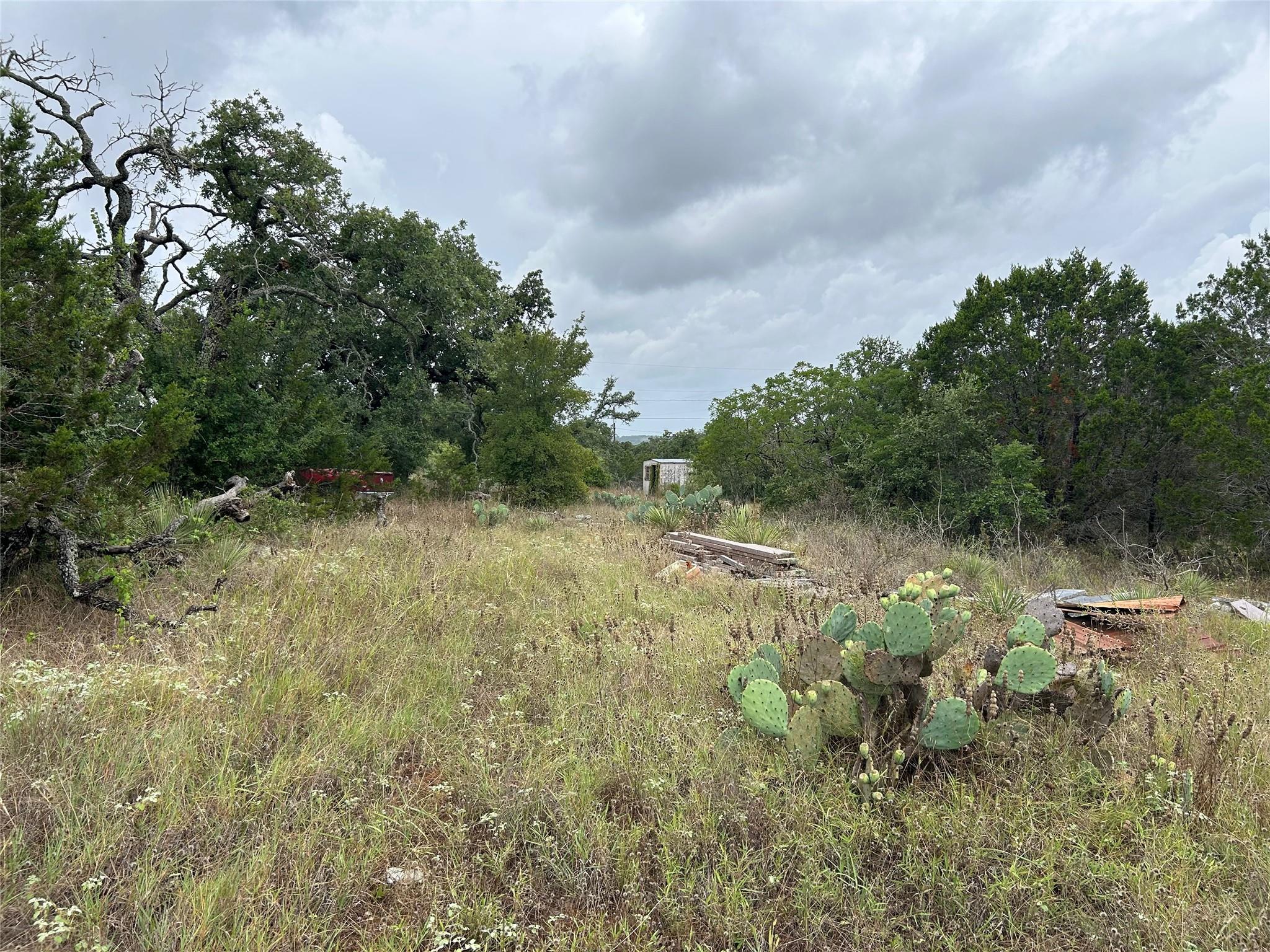 125 Live Oak Rd Property Photo 7