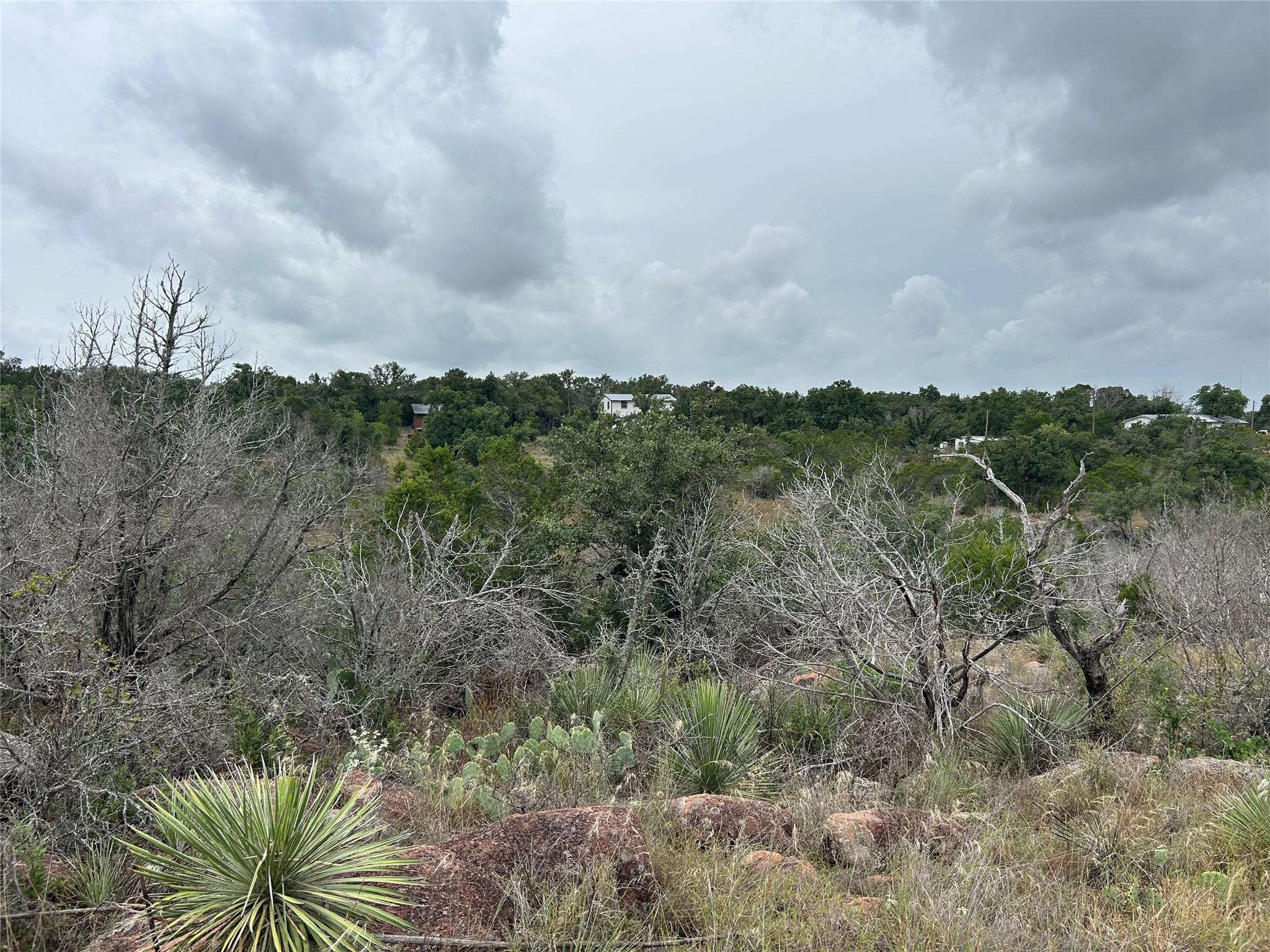 125 Live Oak Rd Property Photo 9