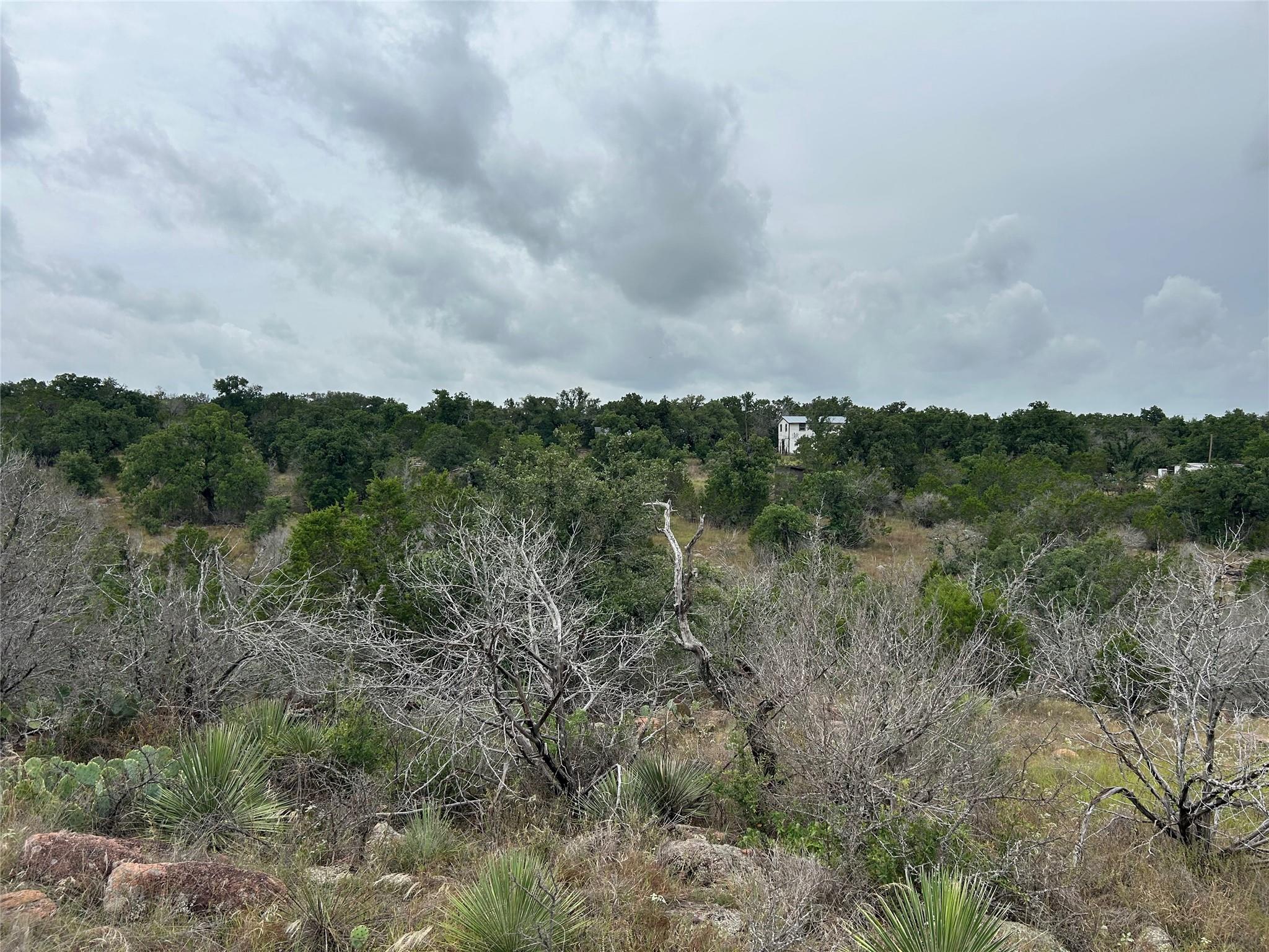 125 Live Oak Rd Property Photo 11
