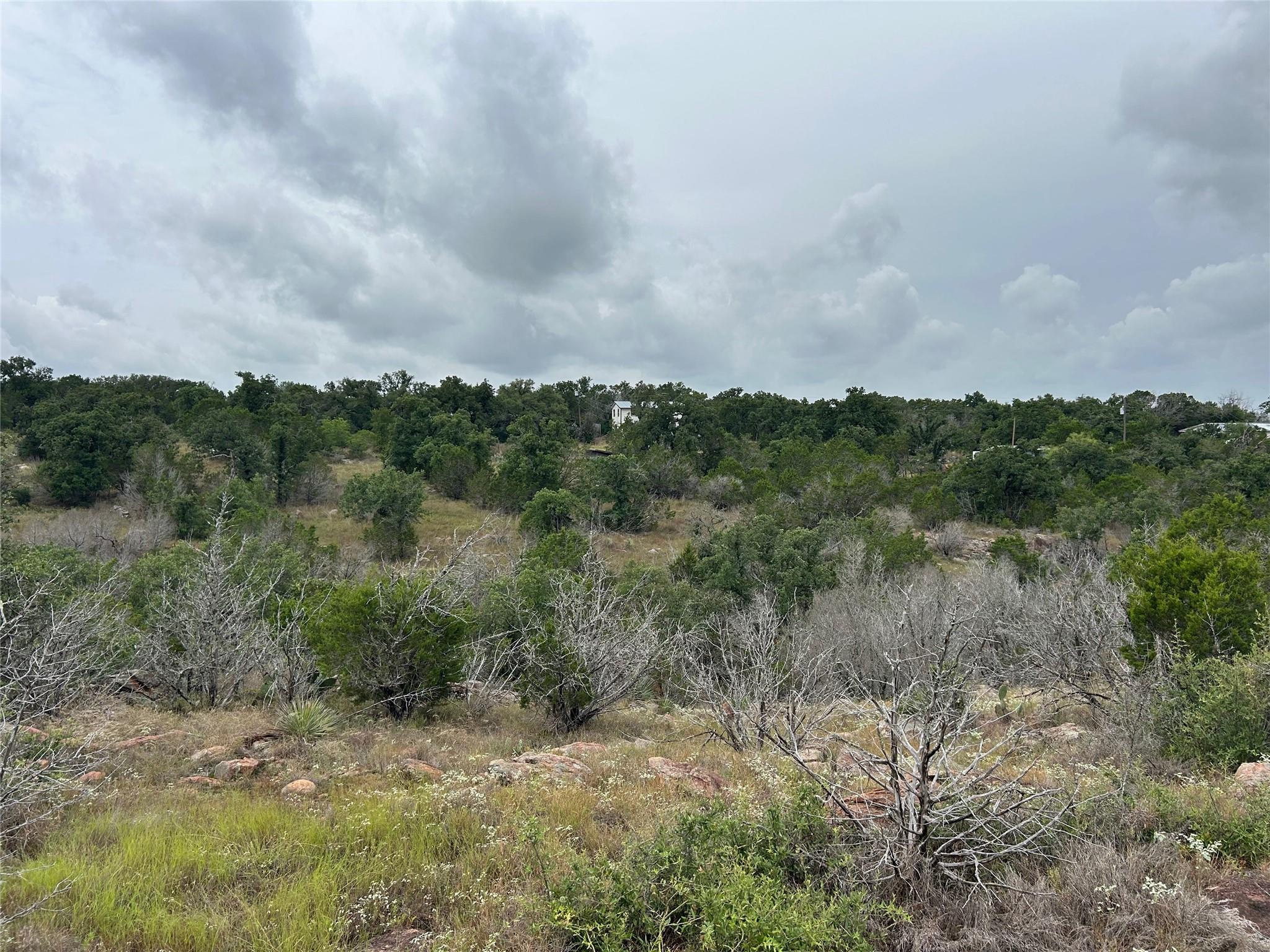 125 Live Oak Rd Property Photo 12