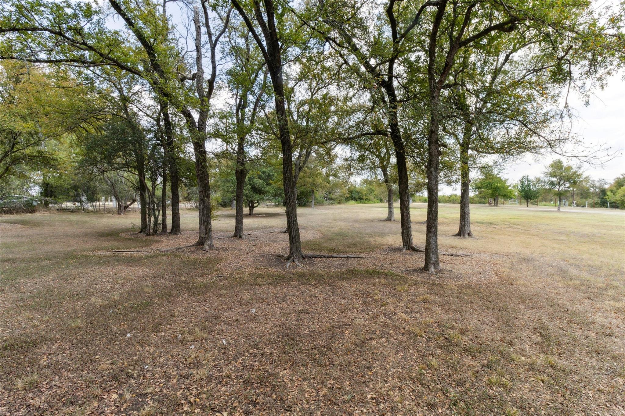 8106 Wolf Ln Property Photo 6