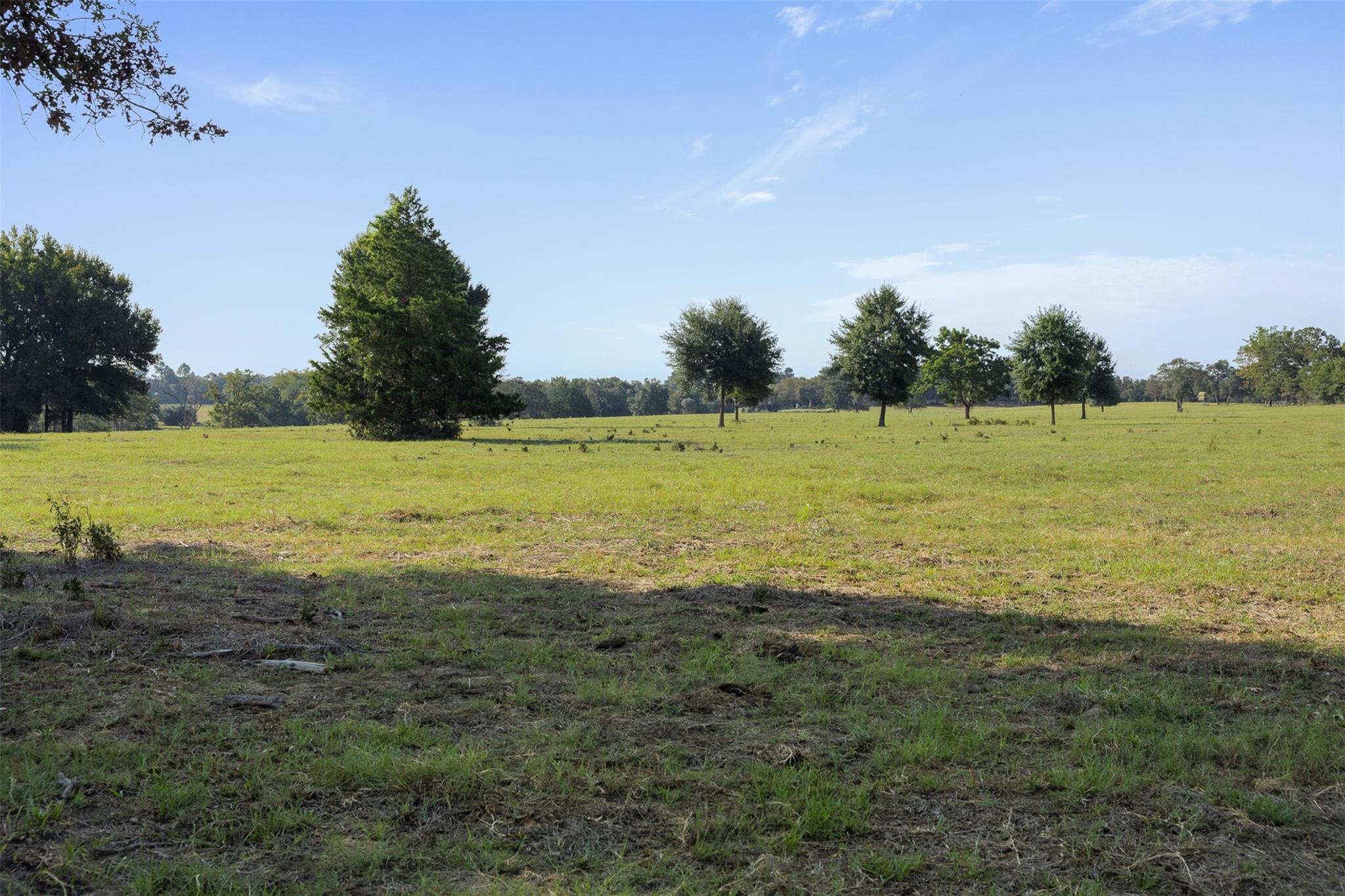 11789 Fm 2095 None Property Photo 6