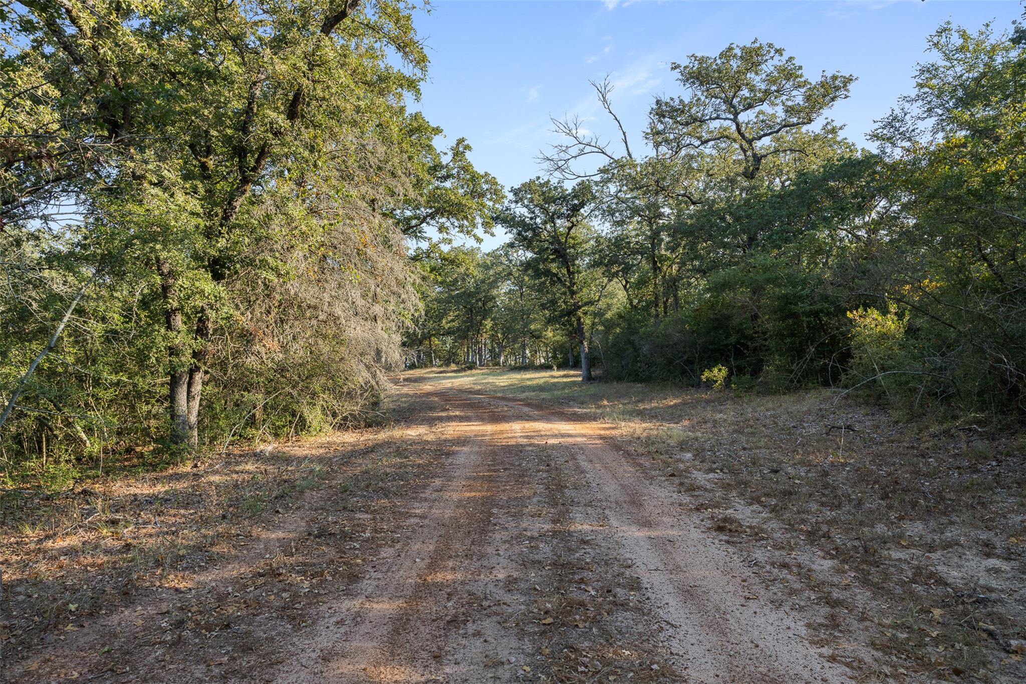 11789 Fm 2095 None Property Photo 8