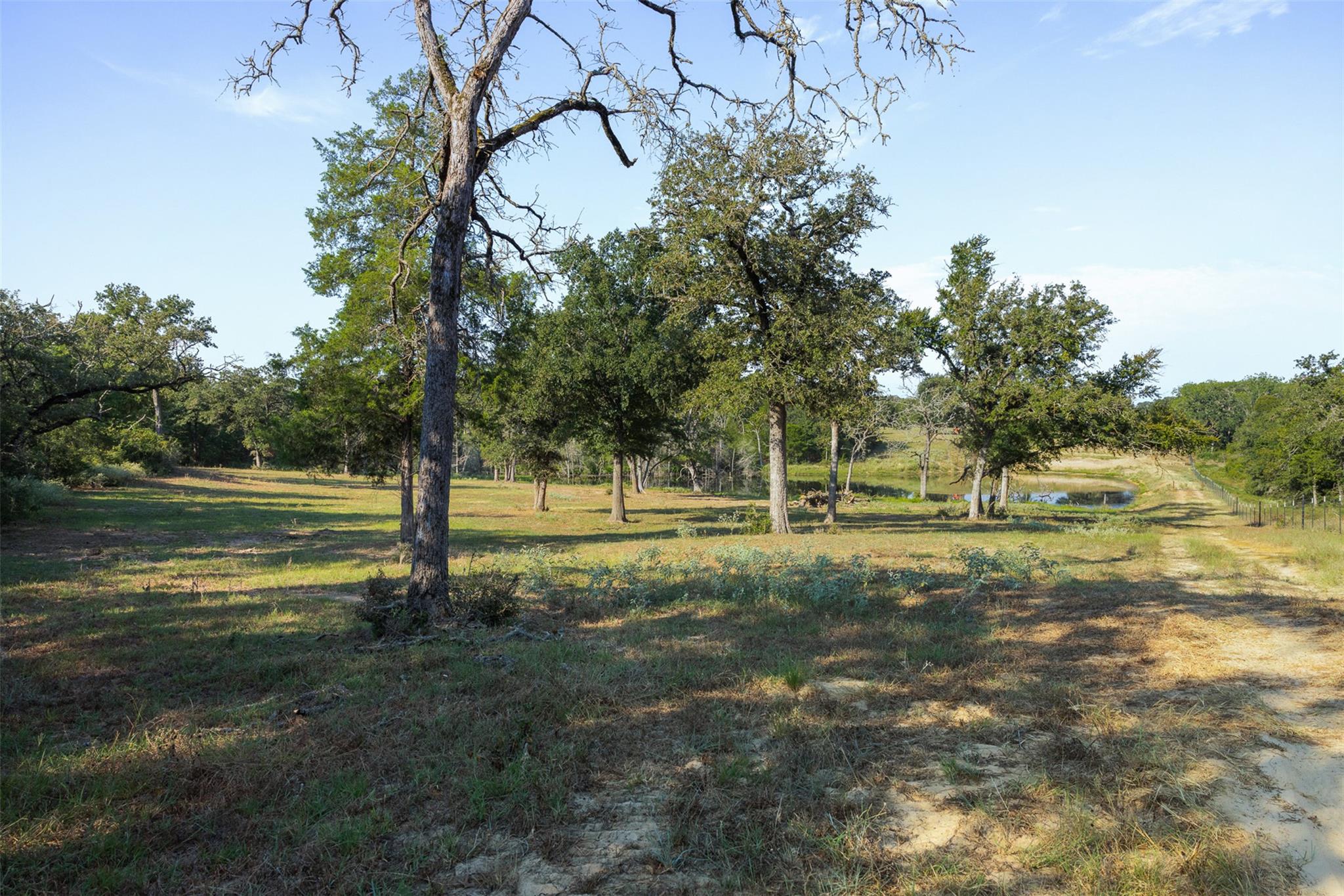 11789 Fm 2095 None Property Photo 11