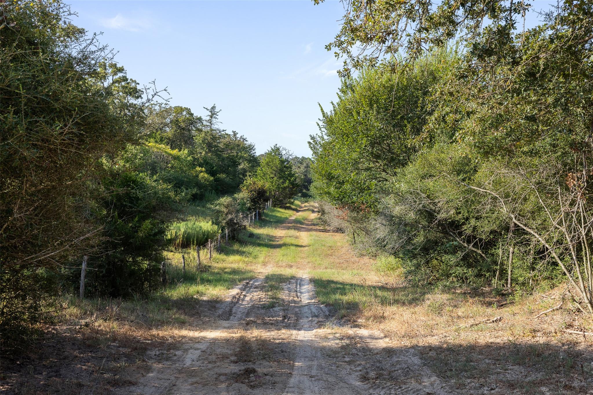 11789 Fm 2095 None Property Photo 12