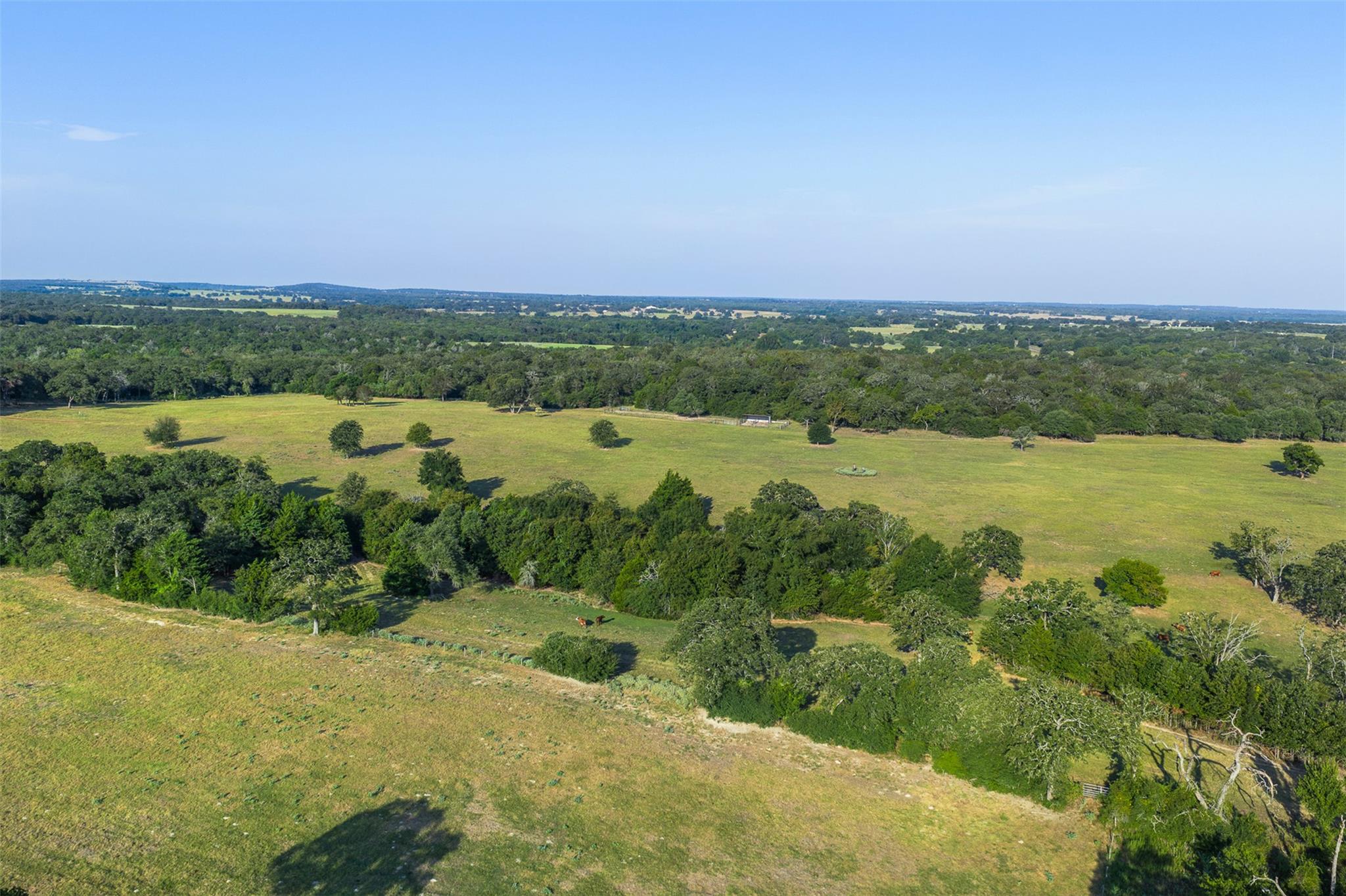 11789 Fm 2095 None Property Photo 18