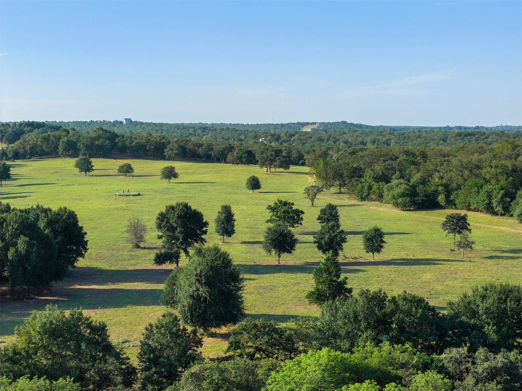 11789 Fm 2095 None Property Photo 19