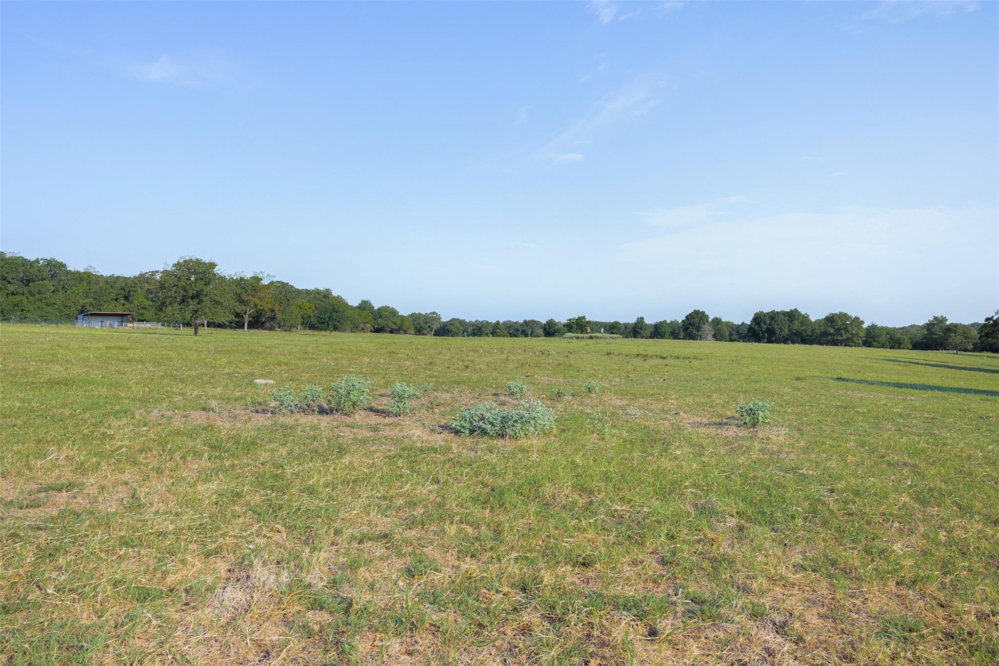11789 Fm 2095 None Property Photo 21