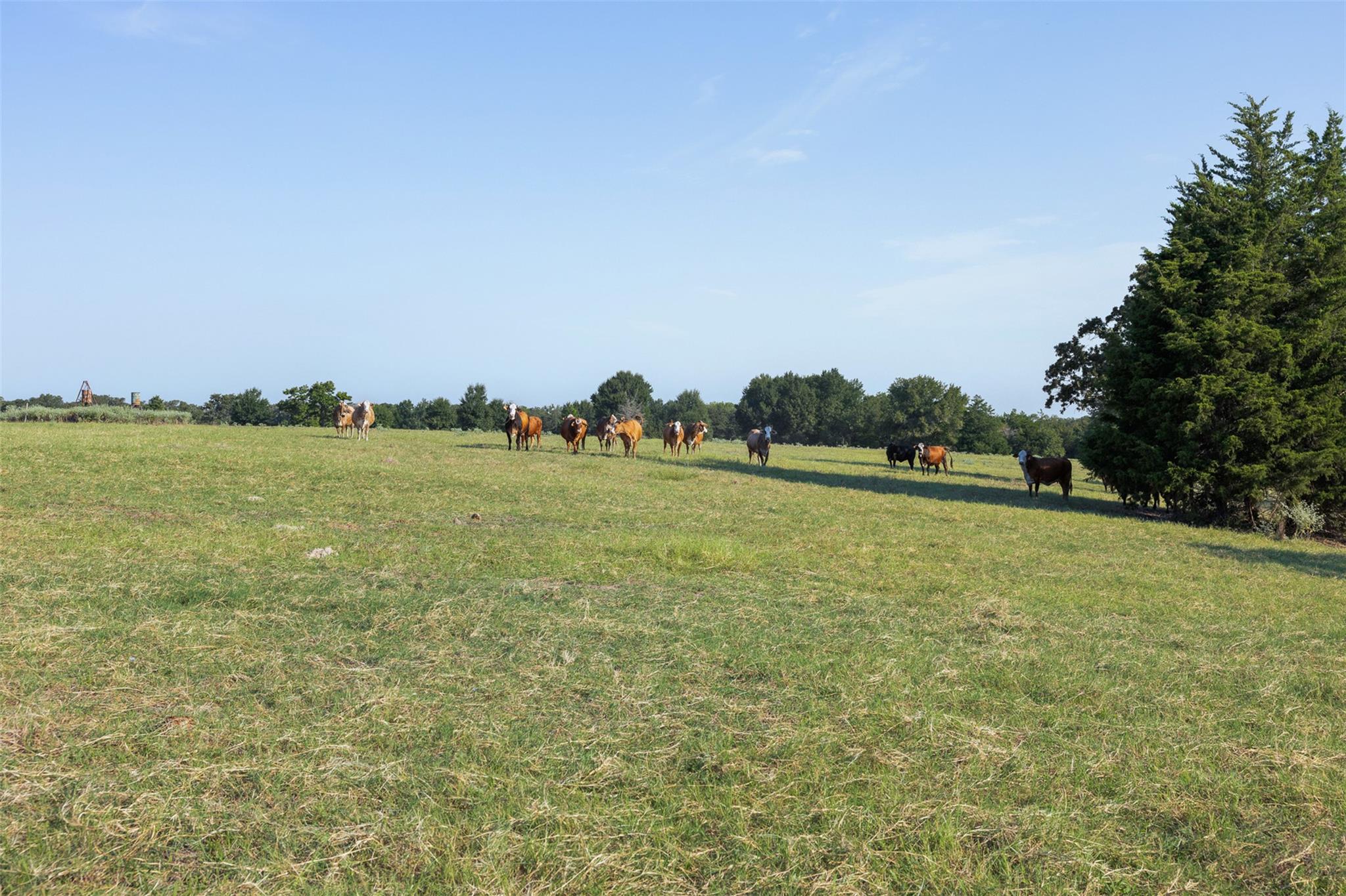 11789 Fm 2095 None Property Photo 22