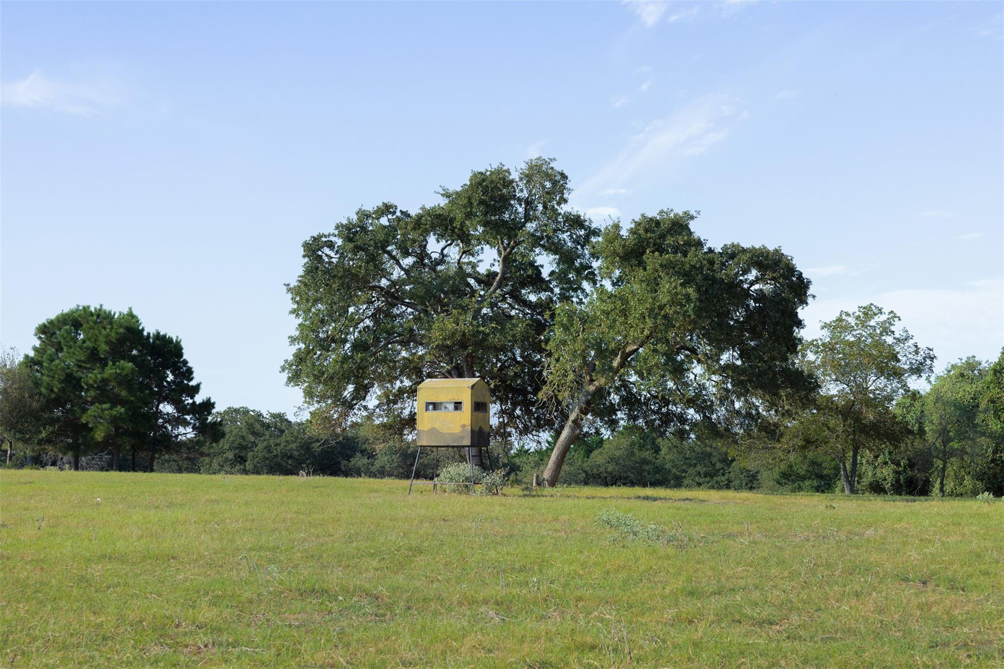 11789 Fm 2095 None Property Photo 24