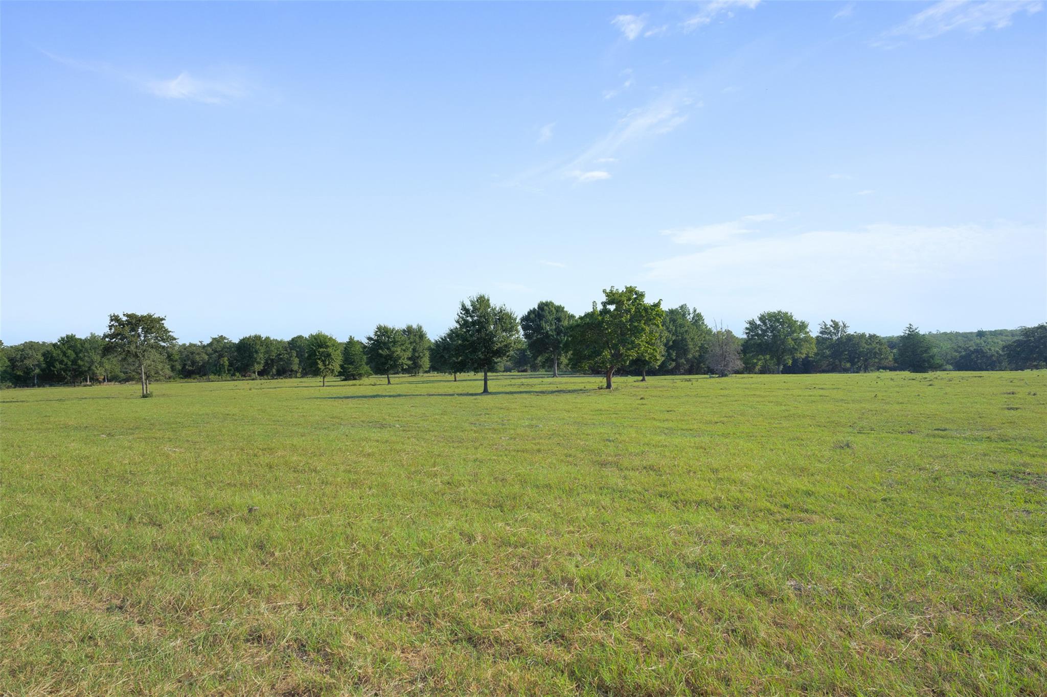 11789 Fm 2095 None Property Photo 25