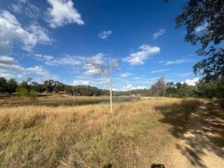Lot 18 Of Ranches Woodland Trail Rnch Property Photo 1