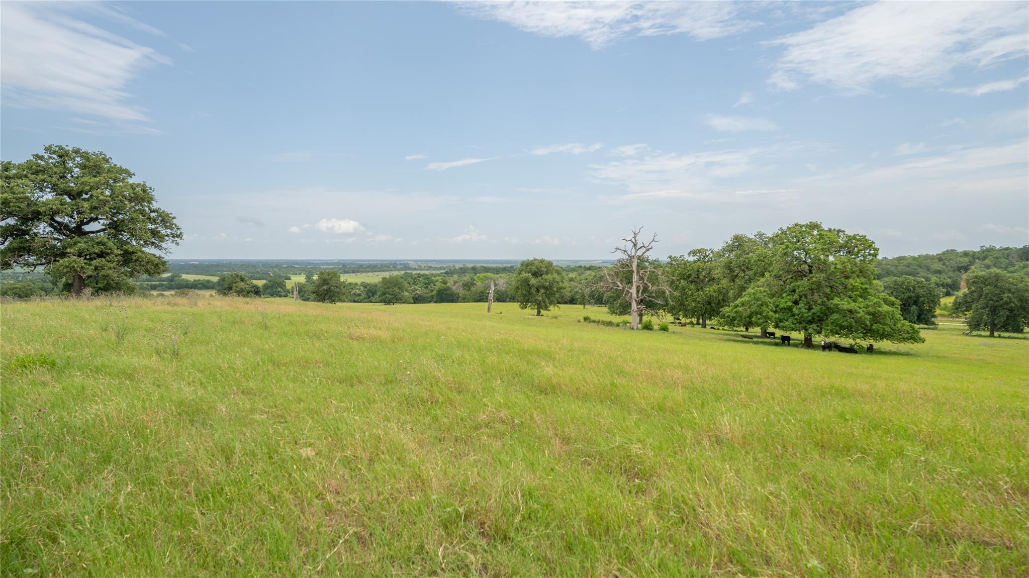 0000 Cr 227 None Property Photo 1