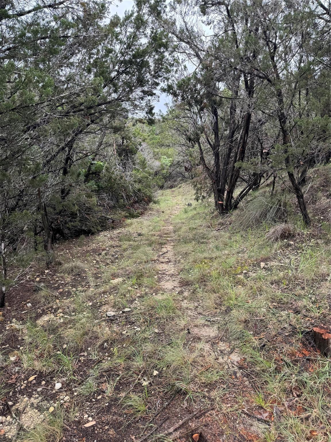 000 Windy Hills Rd Property Photo 14