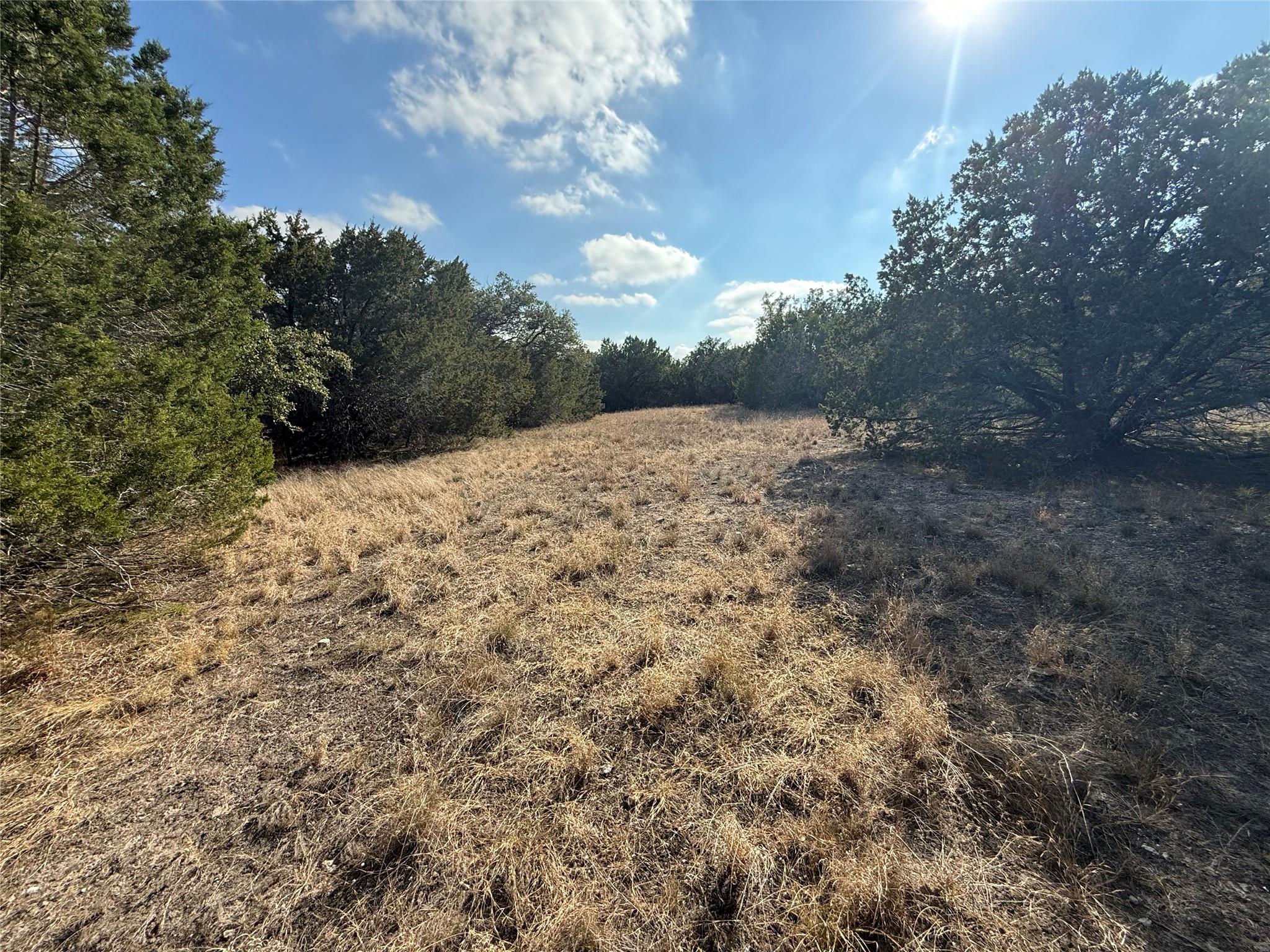 3436875 Property Photo 2