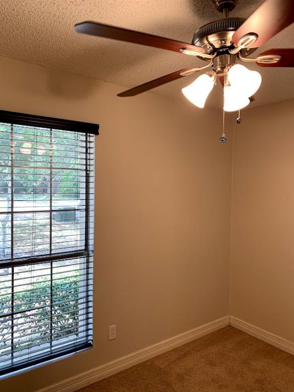 704 Chestnut Xing Property Photo 3