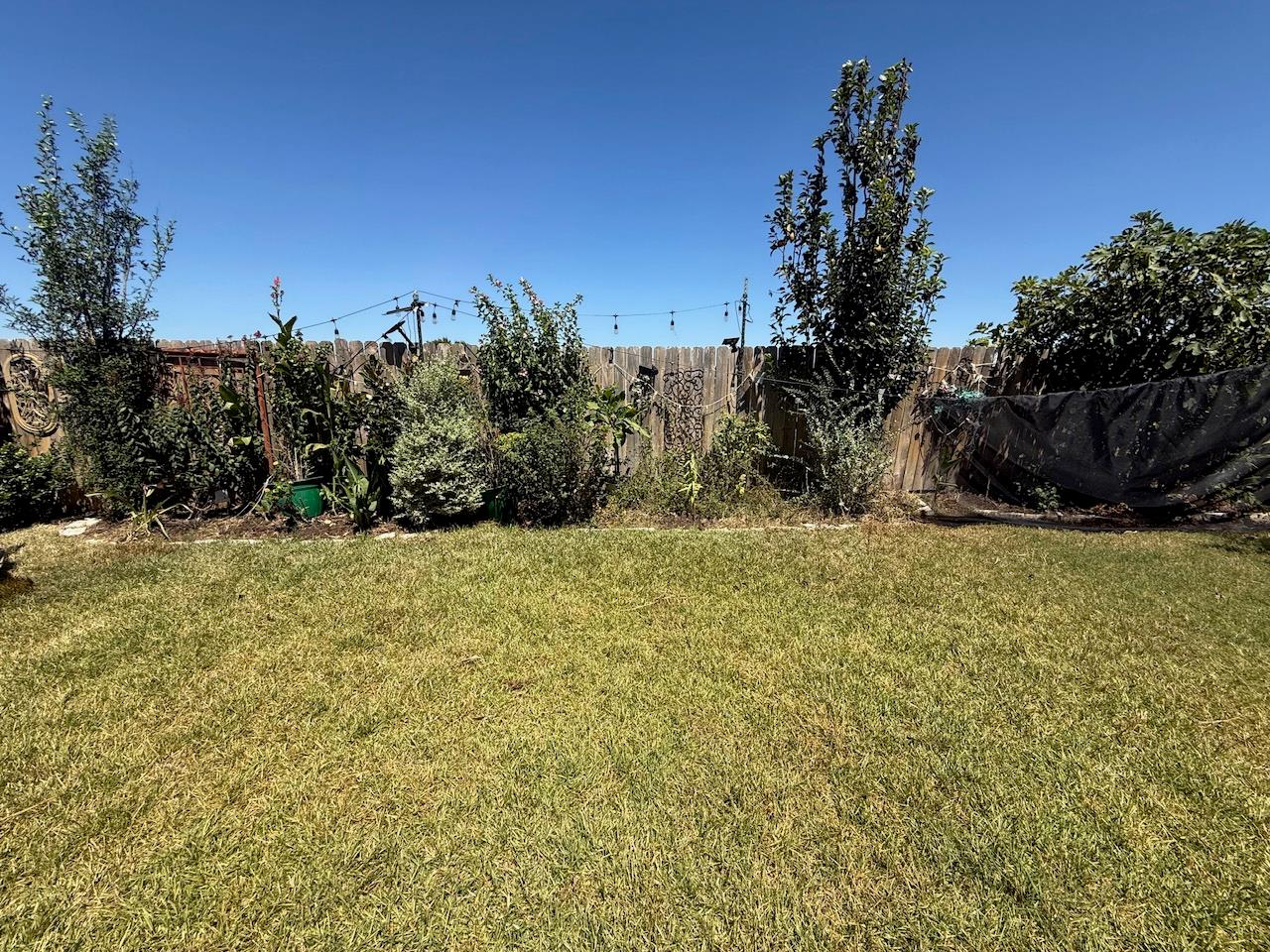 617 Ibis Falls Loop Property Photo 6