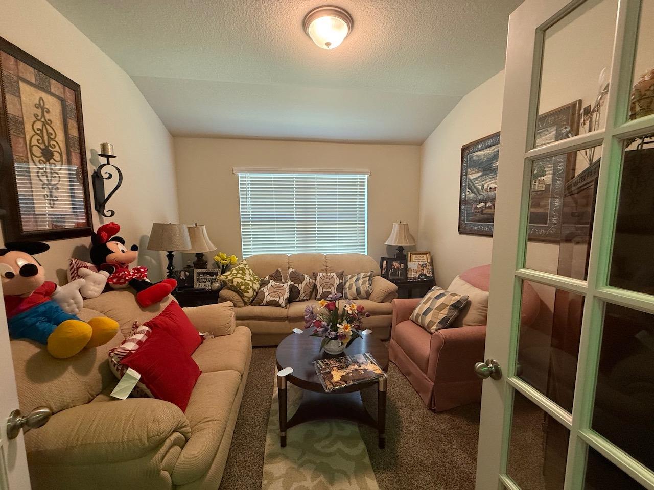 617 Ibis Falls Loop Property Photo 9