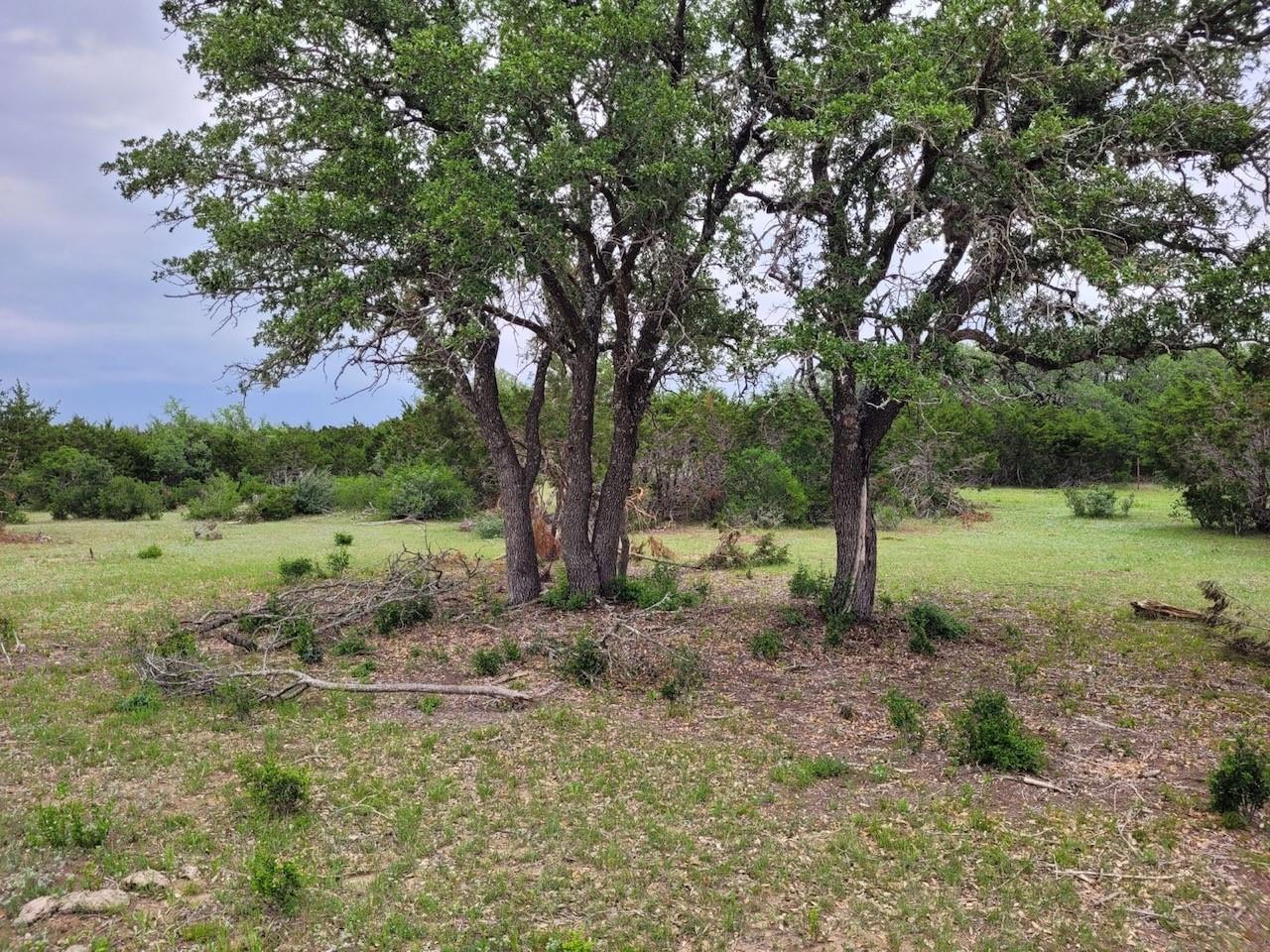 274 Sweet Blessings Way Property Photo 5