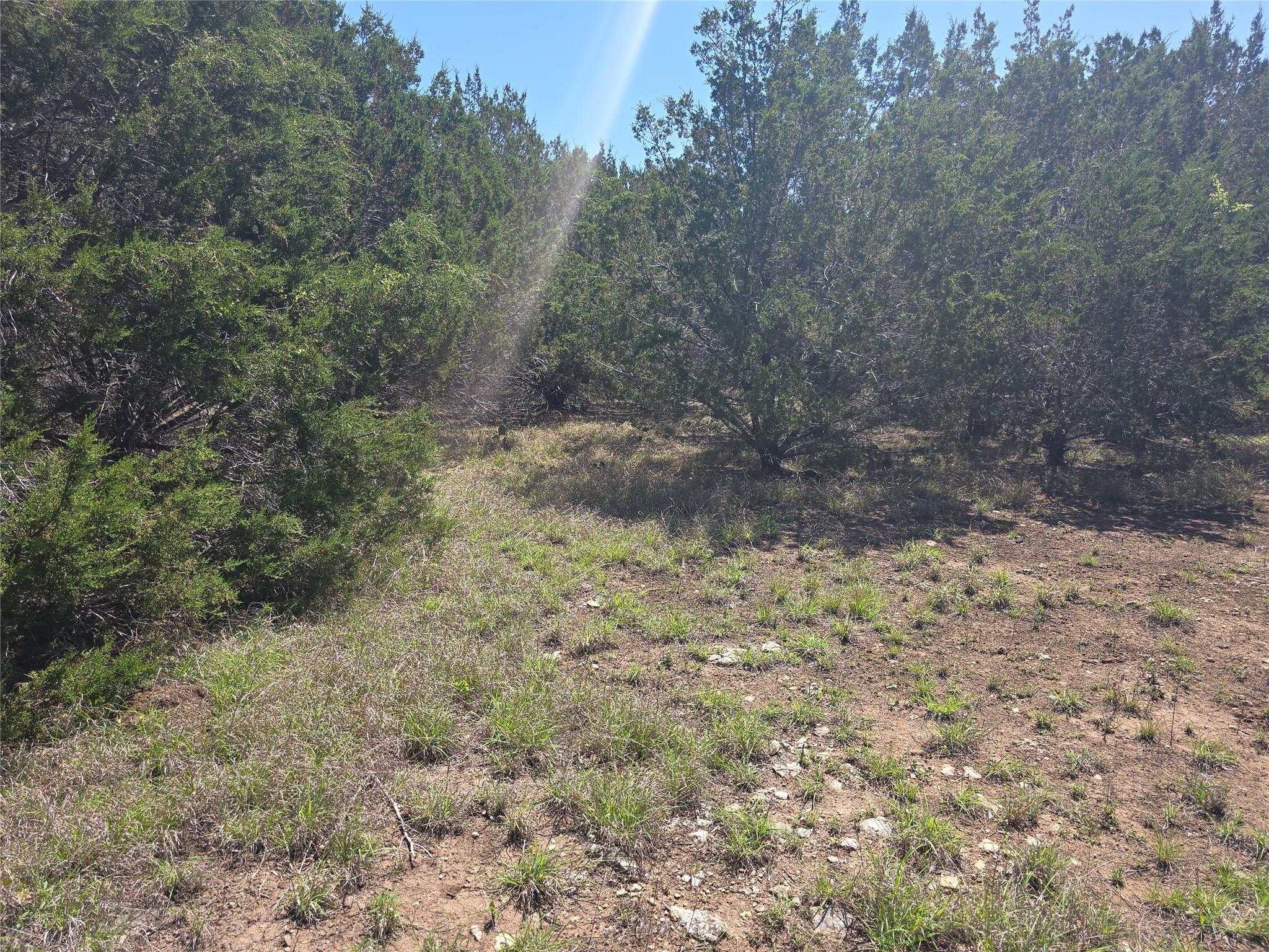 150 Blessing Ranch Rd Property Photo 2