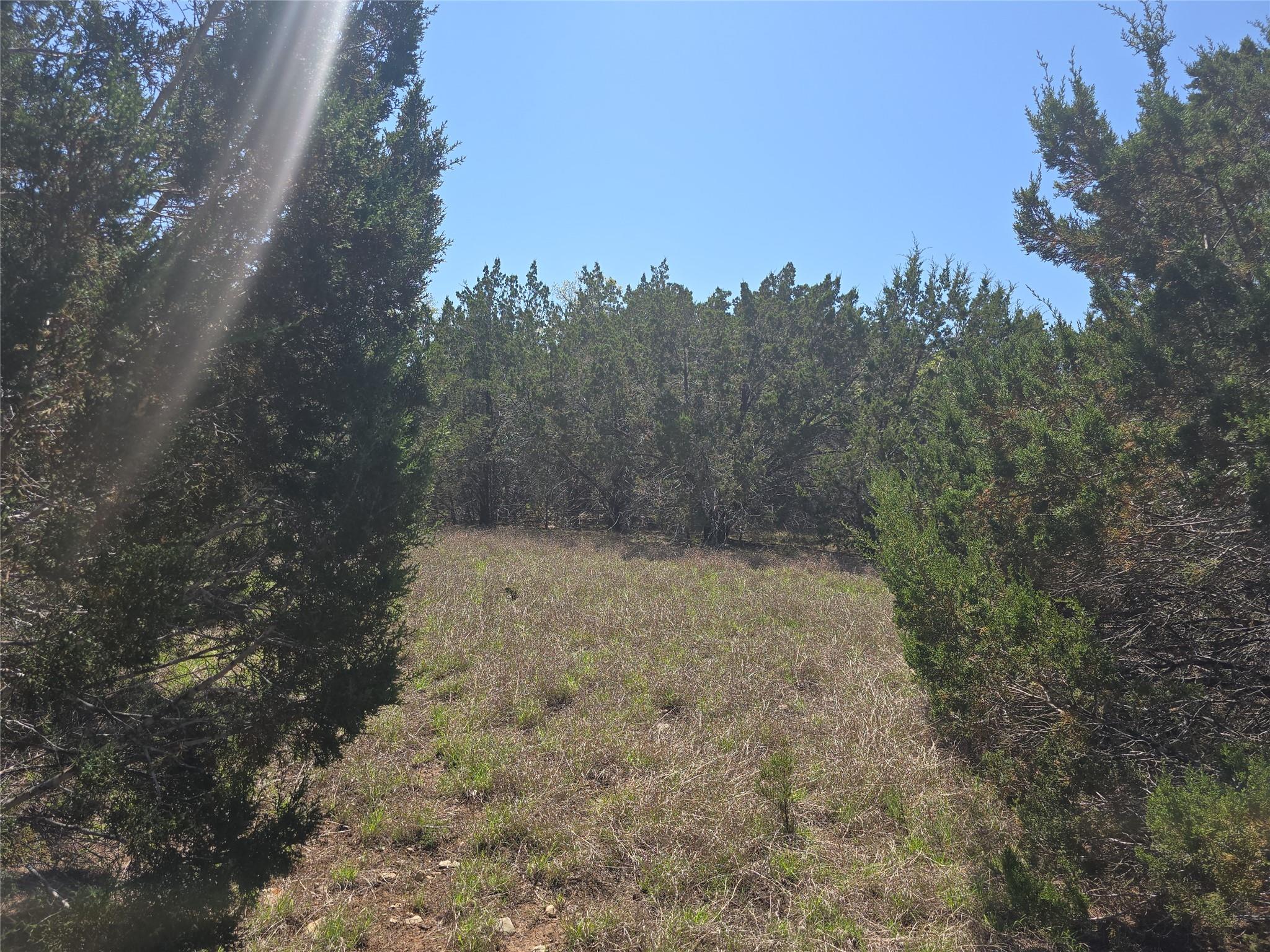 150 Blessing Ranch Rd Property Photo 3