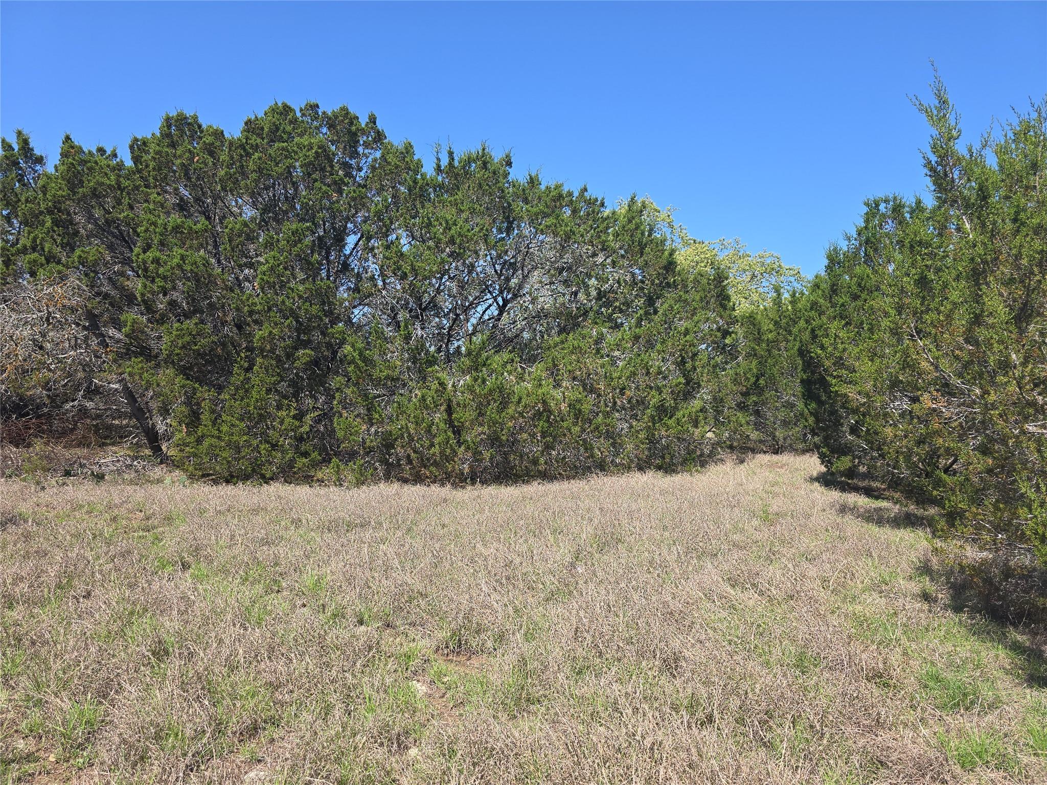 150 Blessing Ranch Rd Property Photo 4
