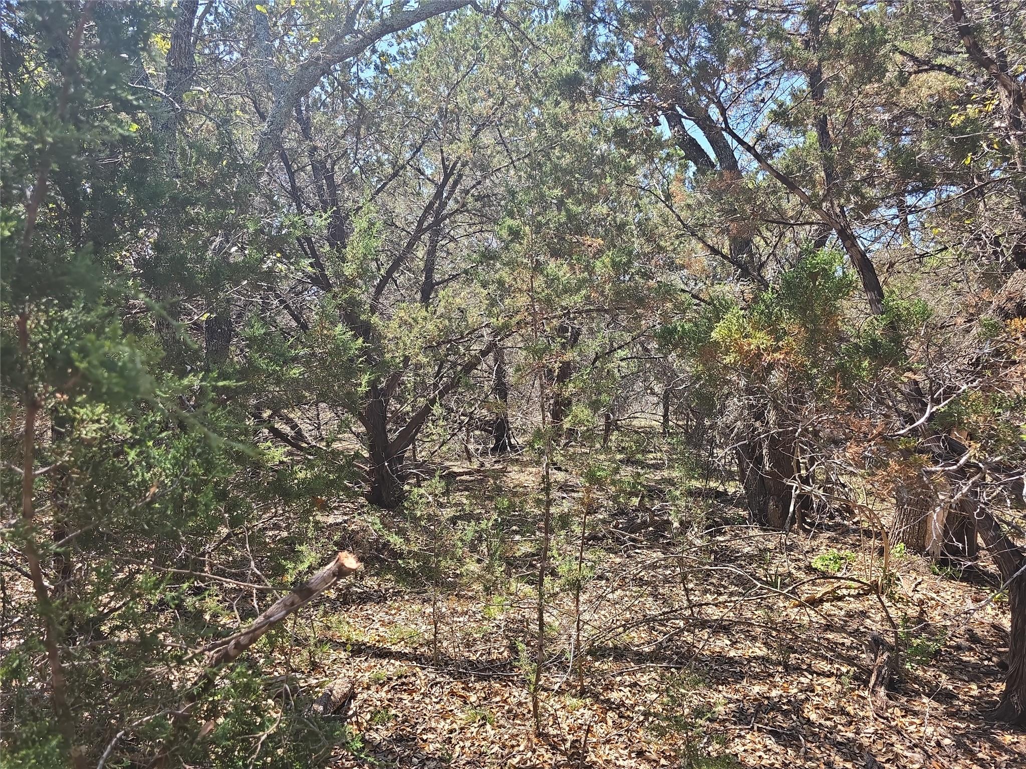150 Blessing Ranch Rd Property Photo 5