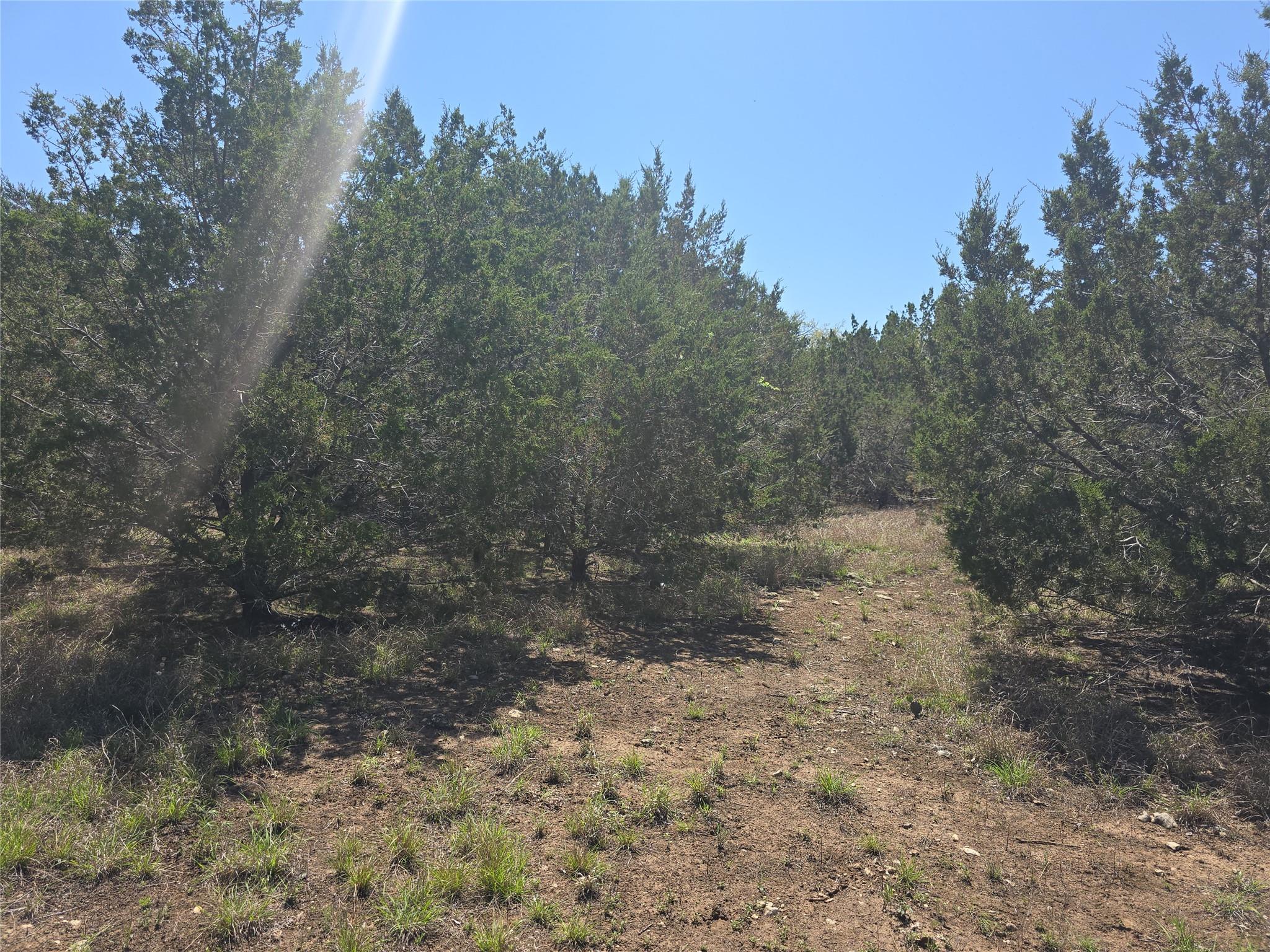 150 Blessing Ranch Rd Property Photo 6