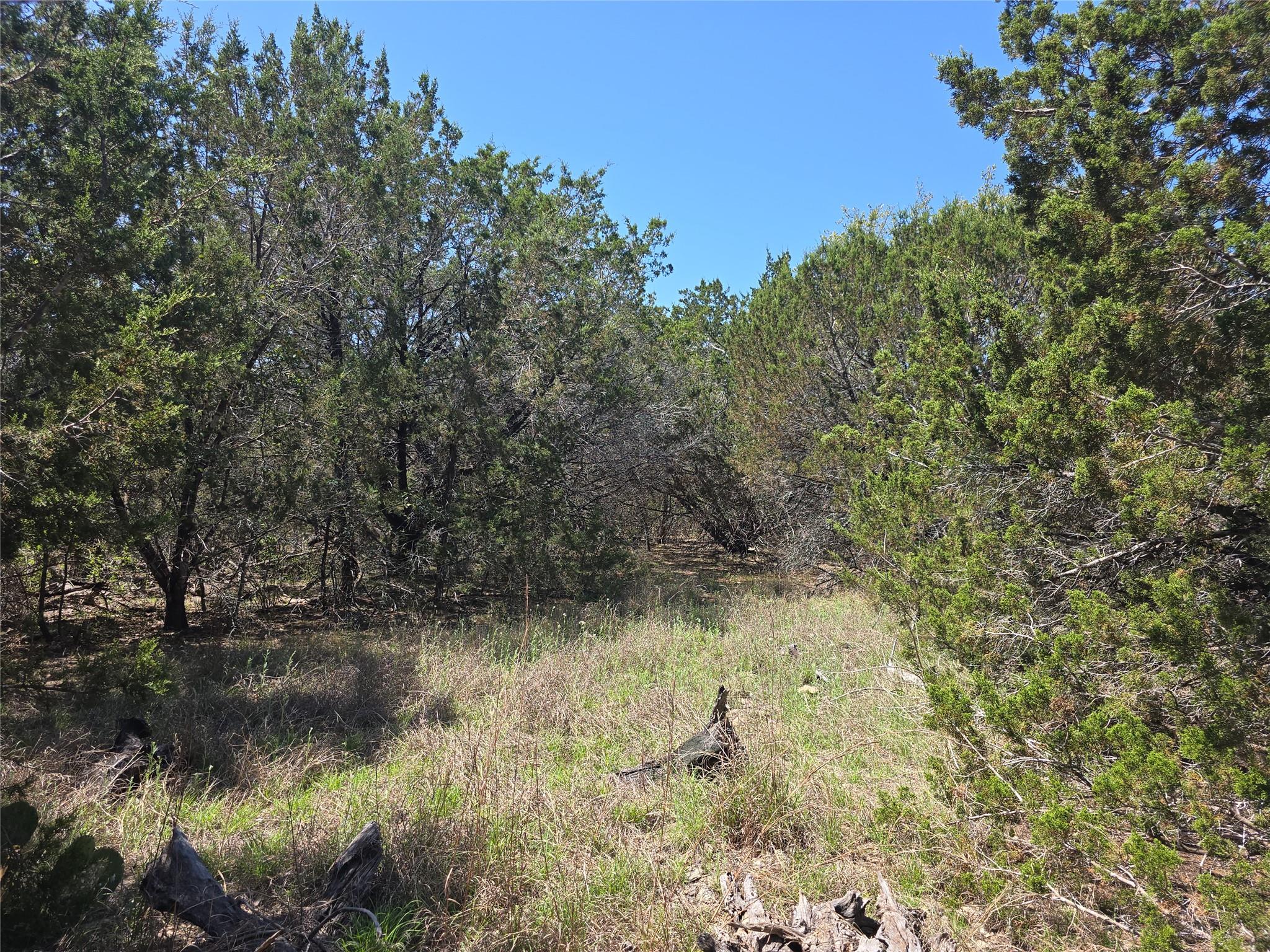 150 Blessing Ranch Rd Property Photo 8