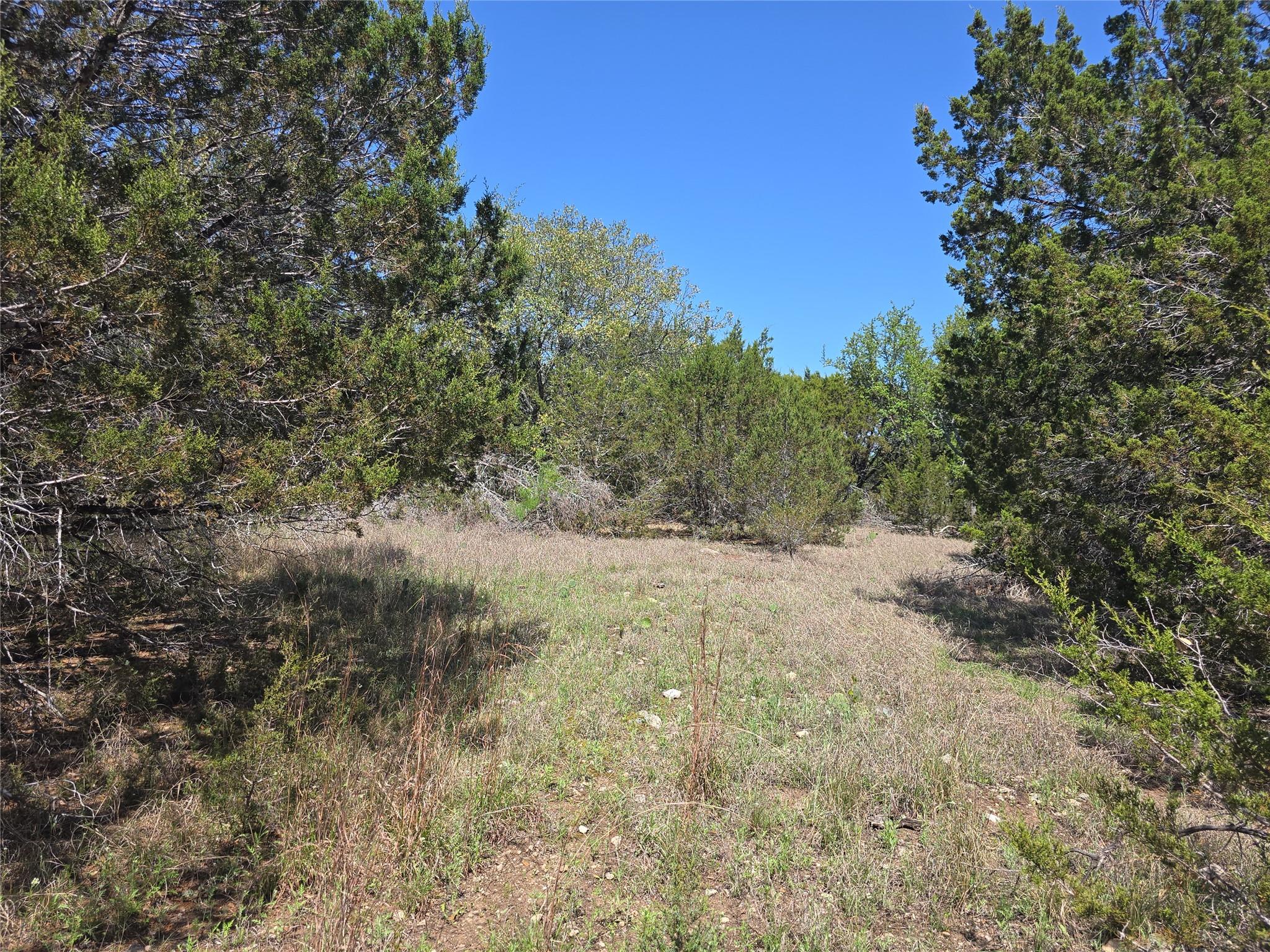 150 Blessing Ranch Rd Property Photo 9