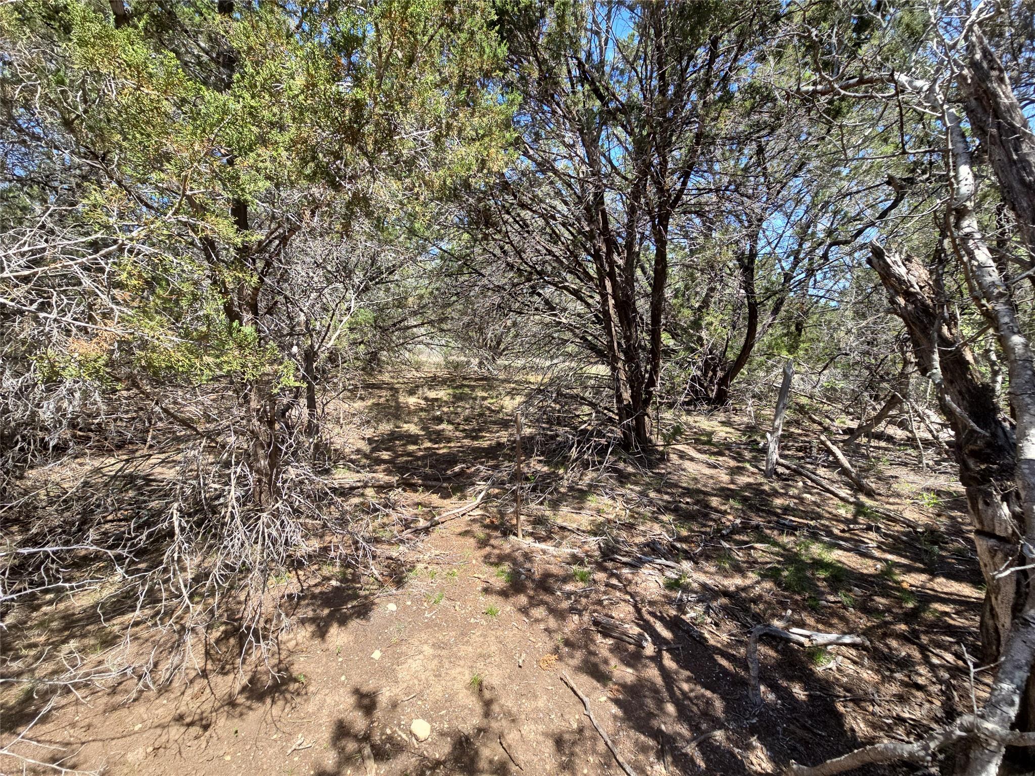 150 Blessing Ranch Rd Property Photo 10