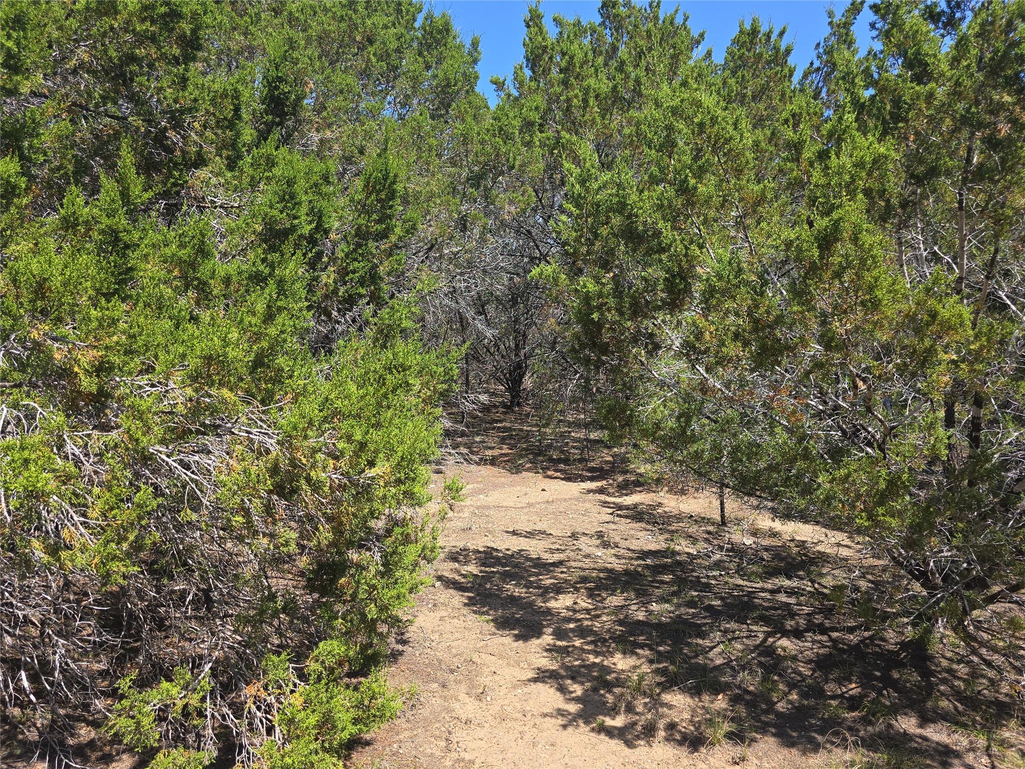 150 Blessing Ranch Rd Property Photo 11