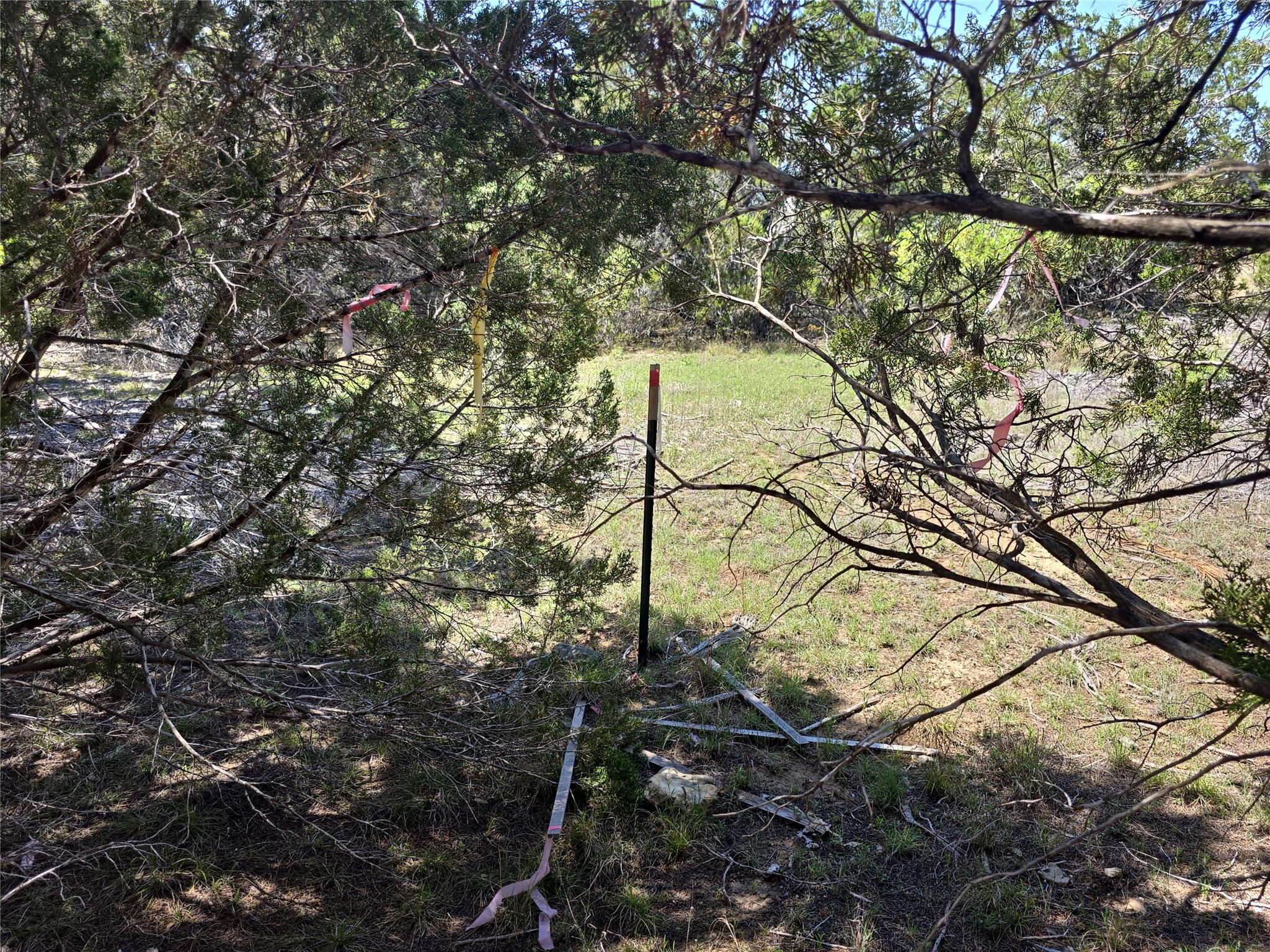 150 Blessing Ranch Rd Property Photo 12