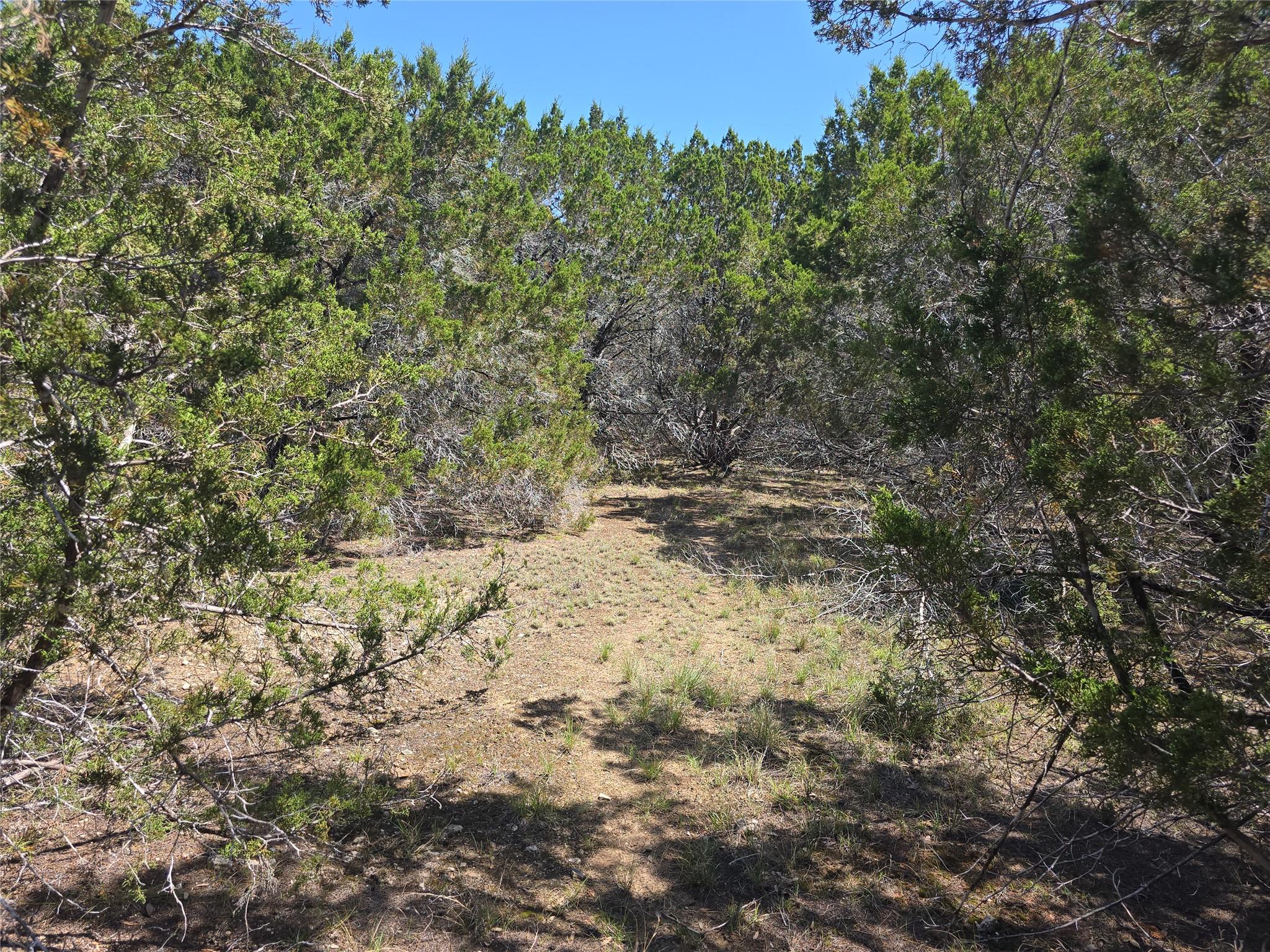 150 Blessing Ranch Rd Property Photo 14