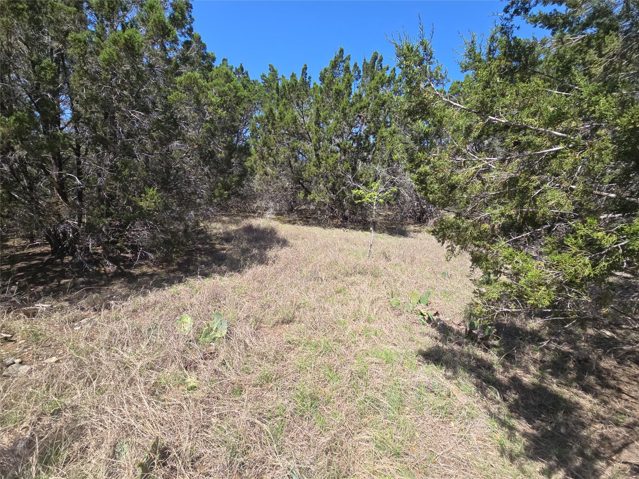 150 Blessing Ranch Rd Property Photo 15
