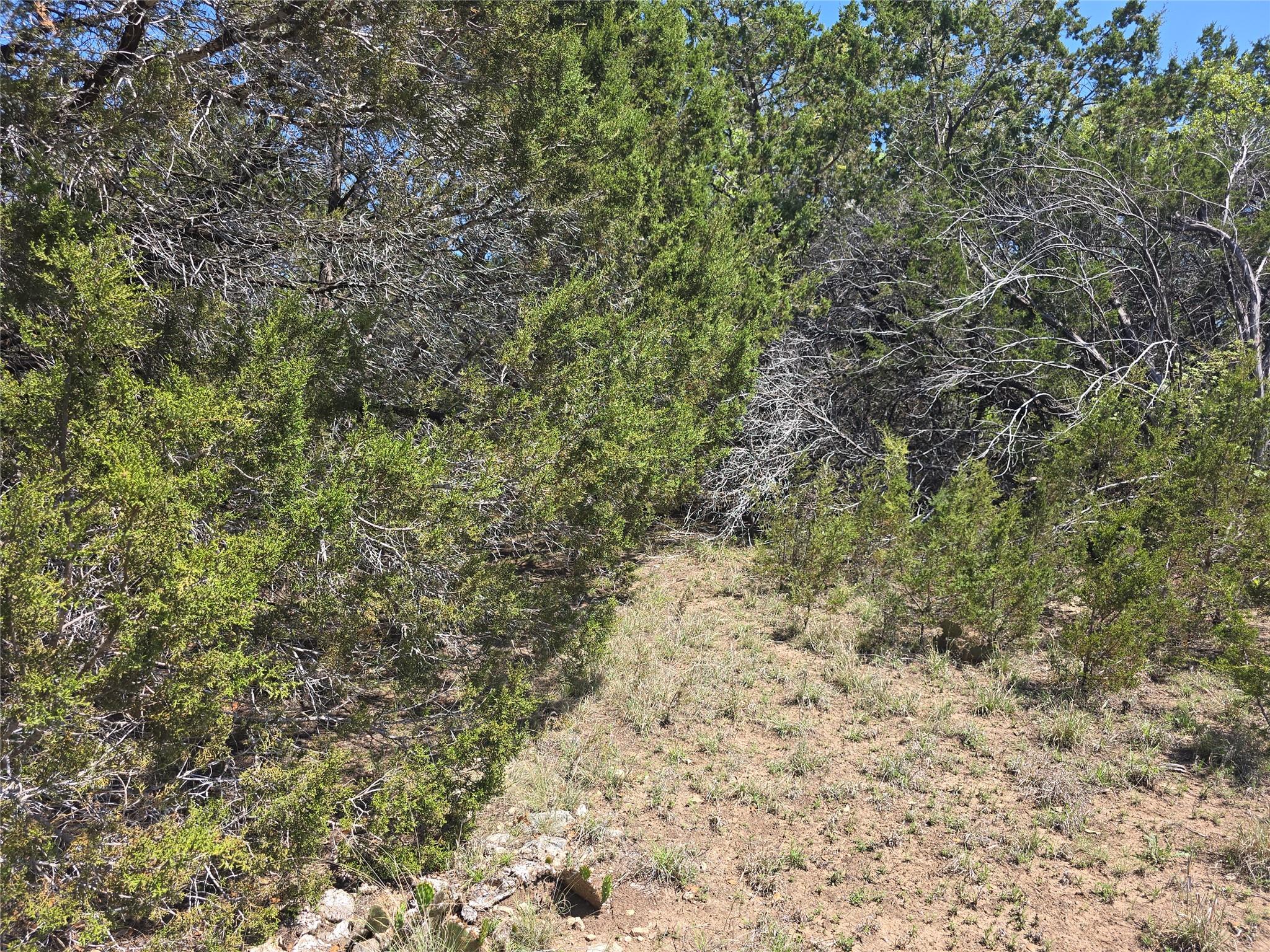150 Blessing Ranch Rd Property Photo 19