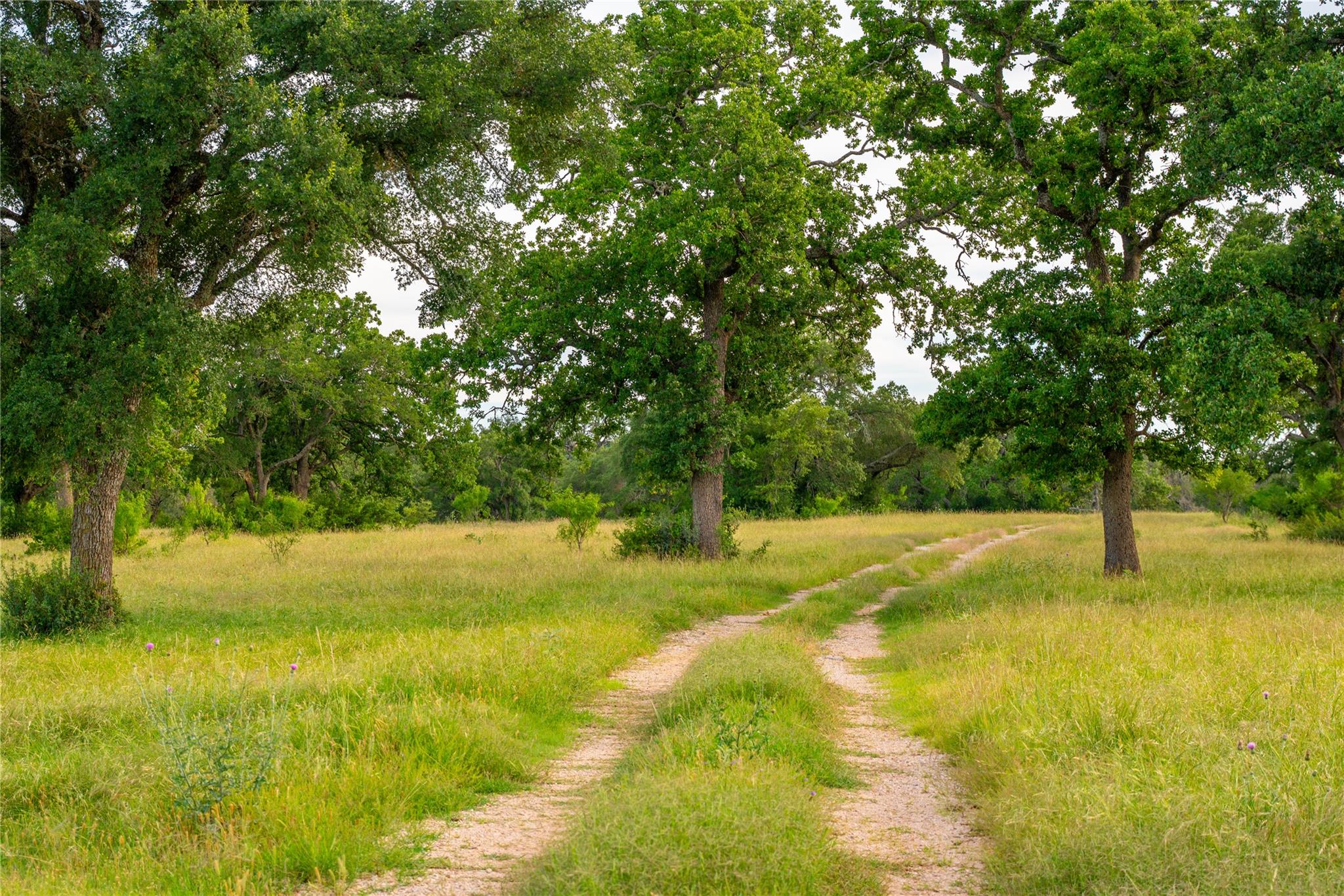 Tbd Cr108 None Property Photo 13