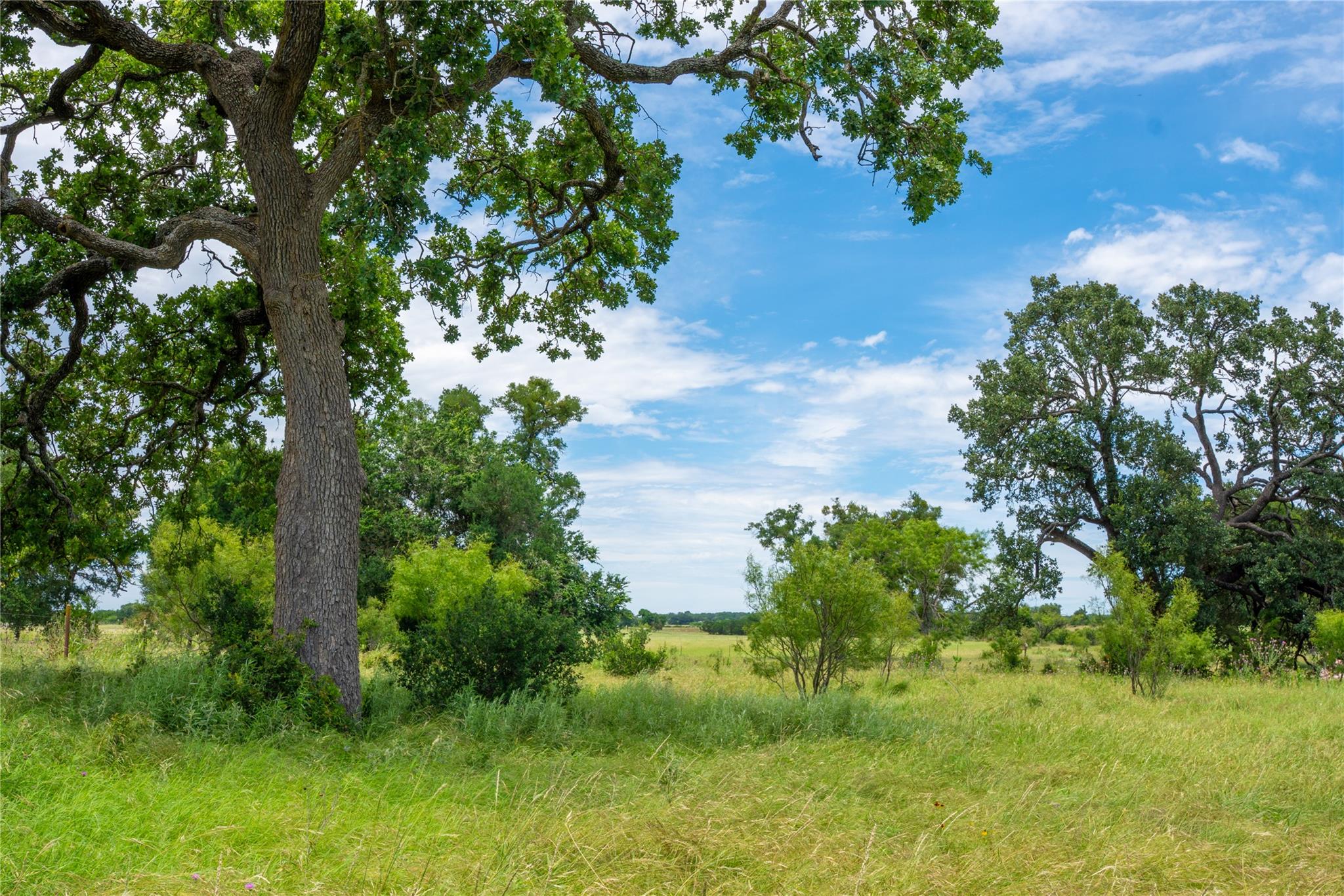 Tbd Cr108 None Property Photo 15