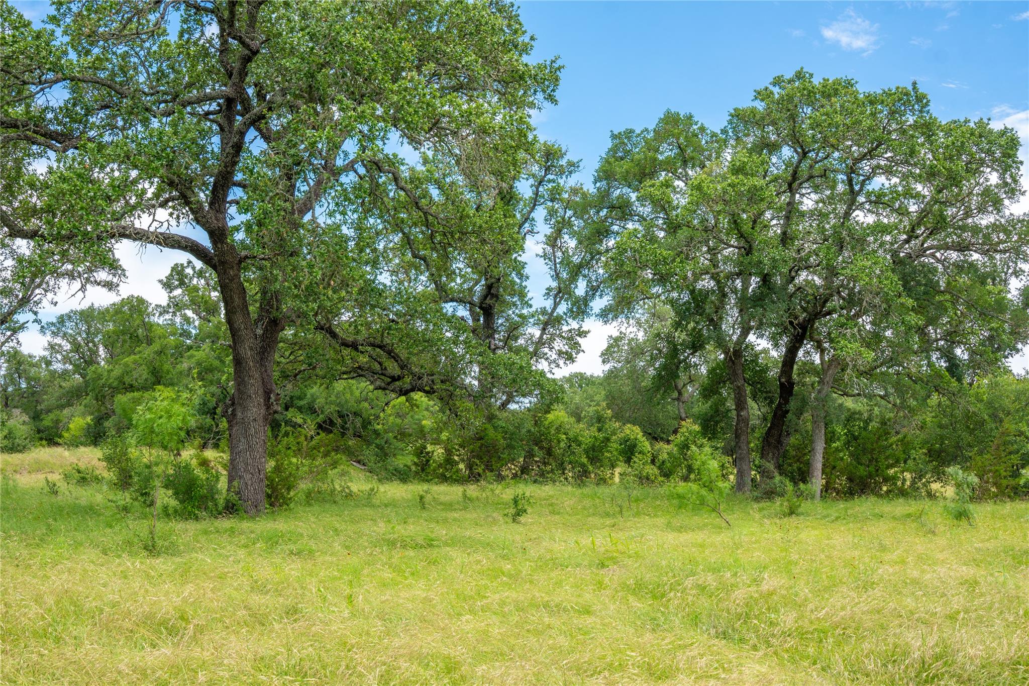 Tbd Cr108 None Property Photo 36