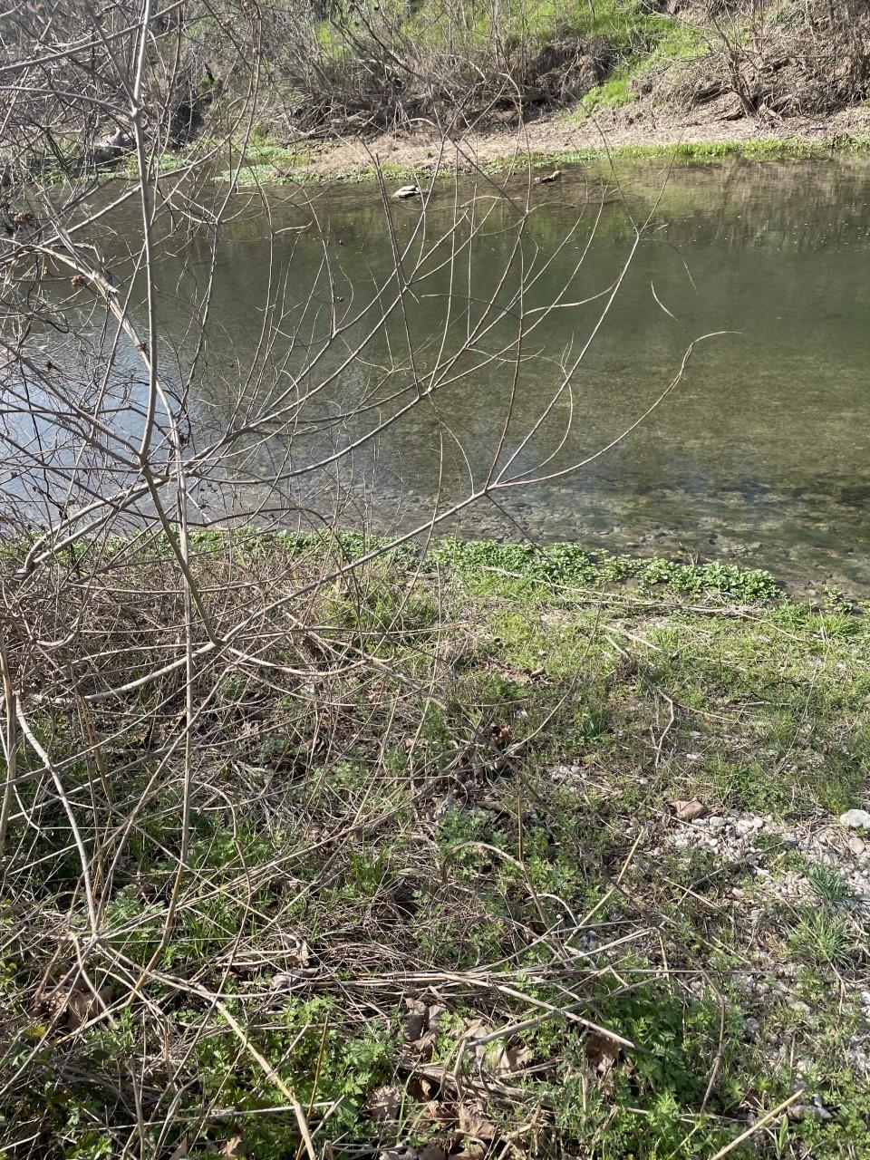 301 Fm 1979 Property Photo 2