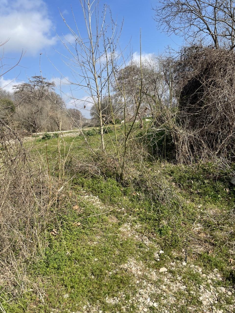 301 Fm 1979 Property Photo 6