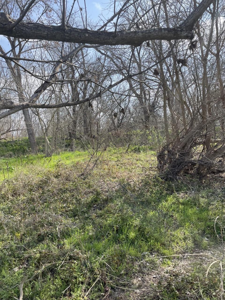 301 Fm 1979 Property Photo 11