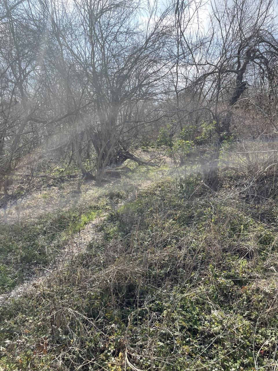 301 Fm 1979 Property Photo 12