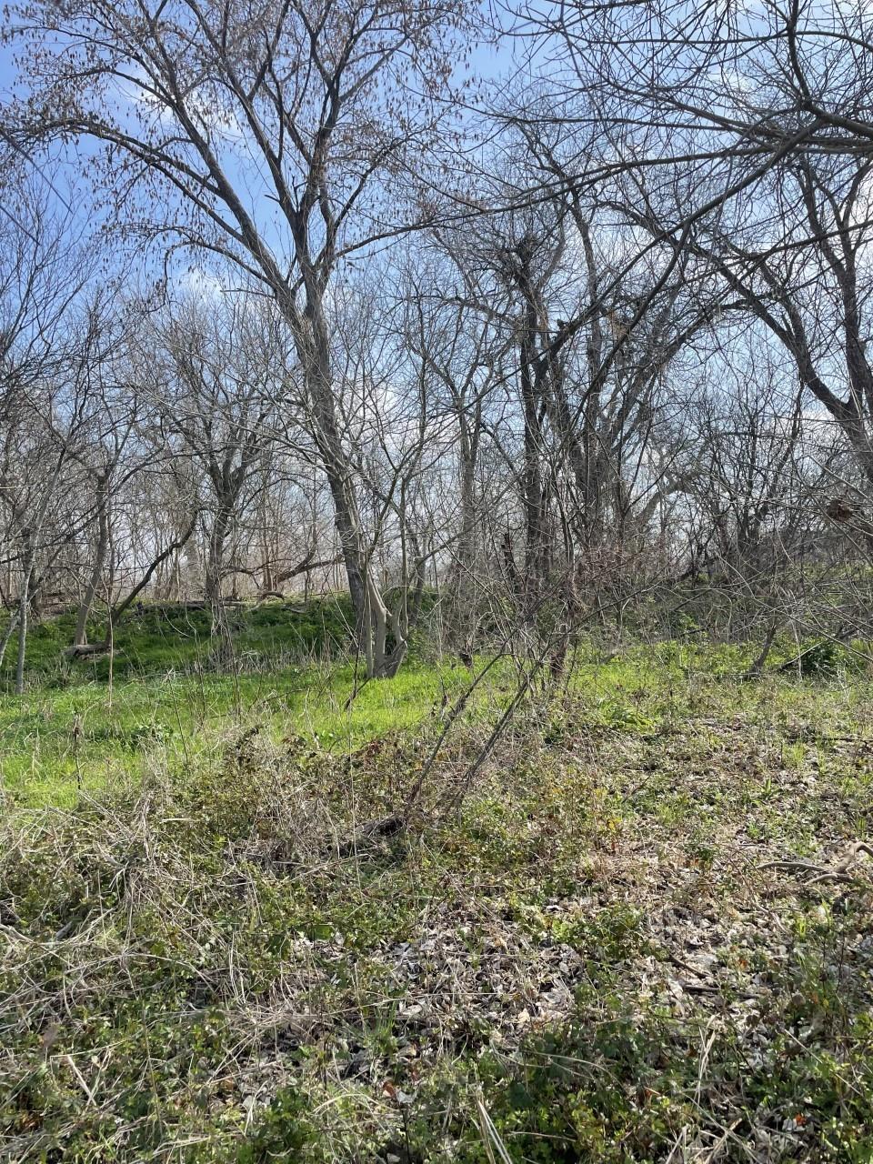 301 Fm 1979 Property Photo 14