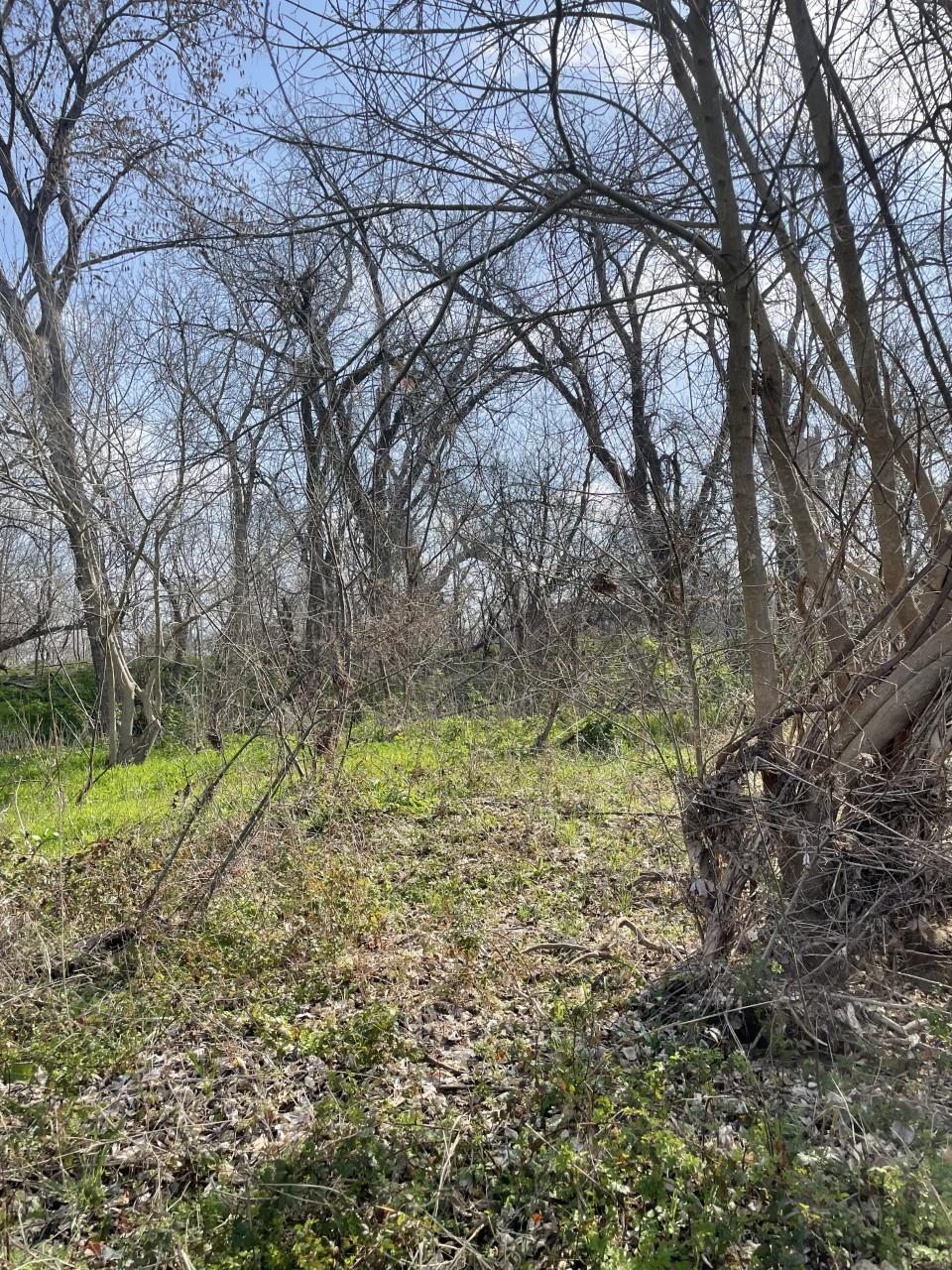 301 Fm 1979 Property Photo 15