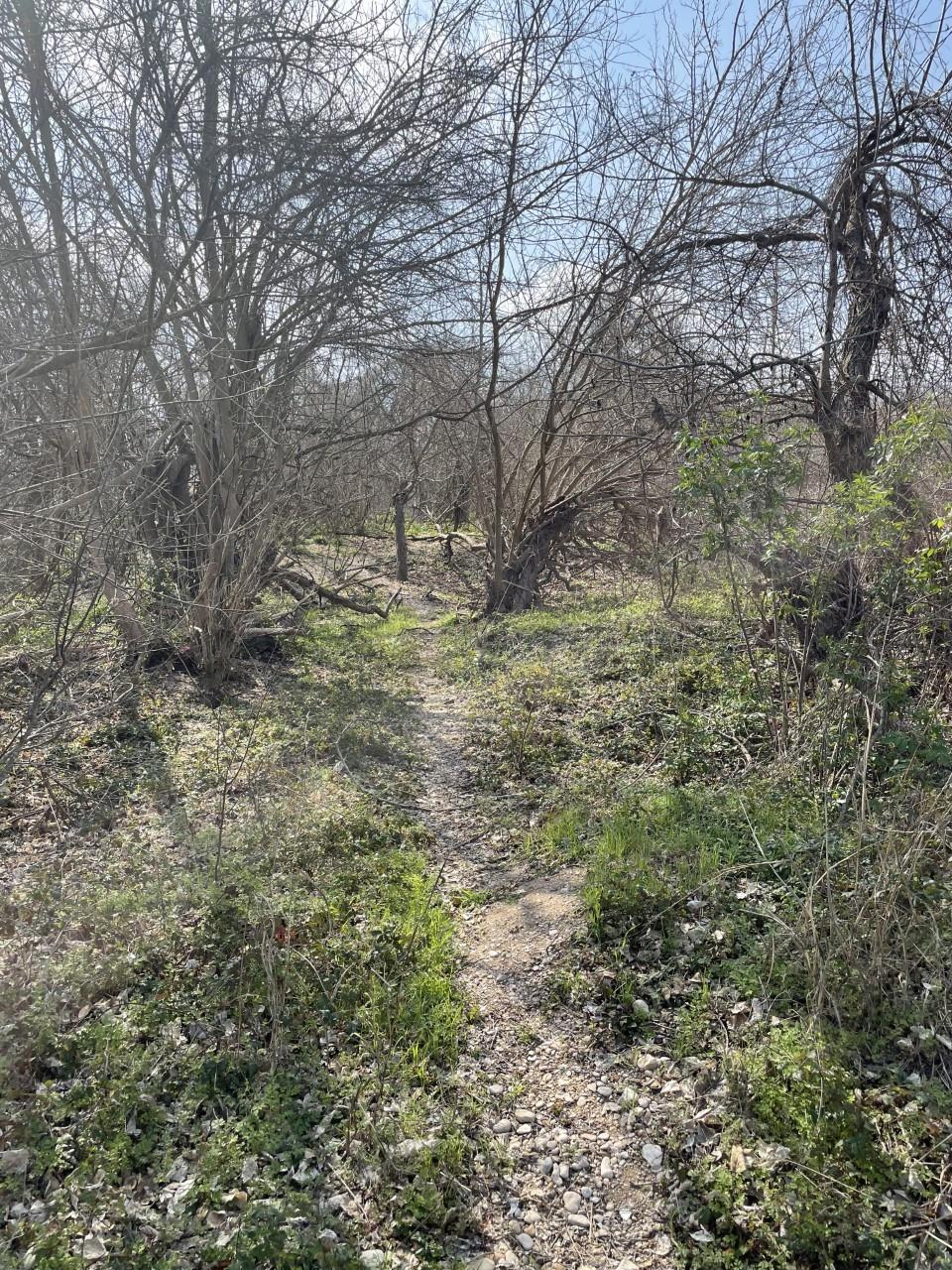 301 Fm 1979 Property Photo 16