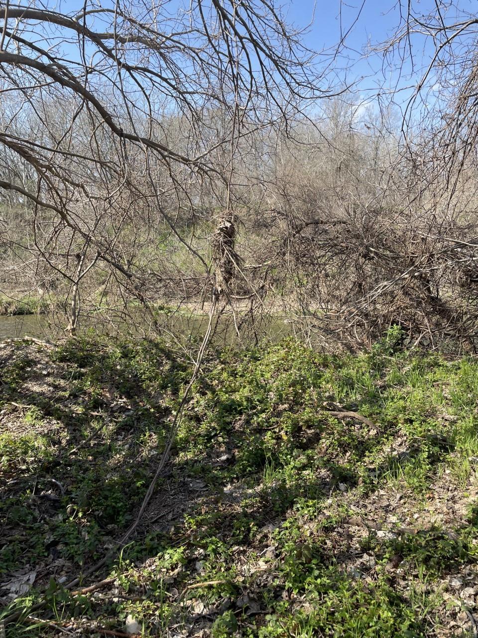 301 Fm 1979 Property Photo 19