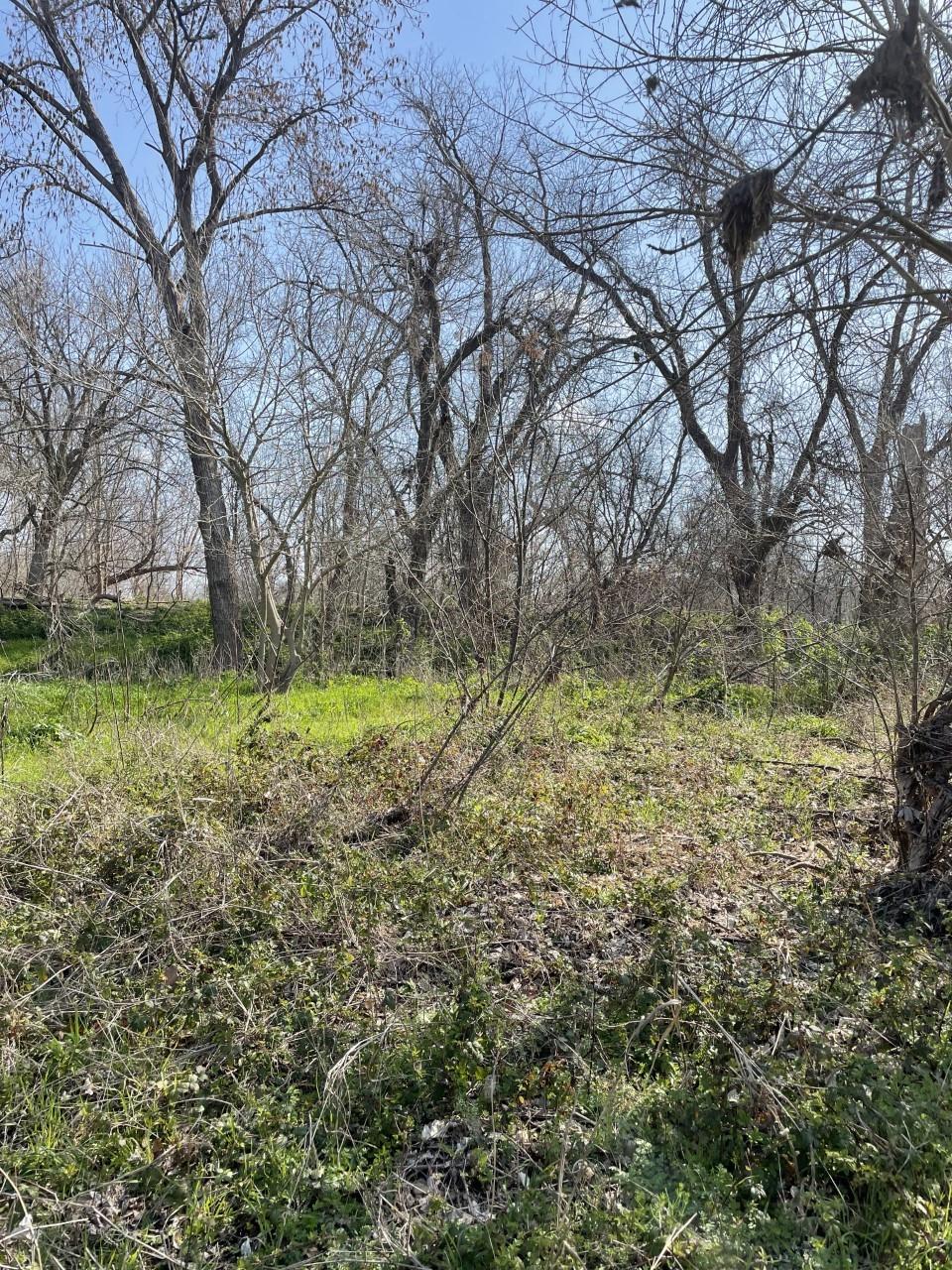 301 Fm 1979 Property Photo 20