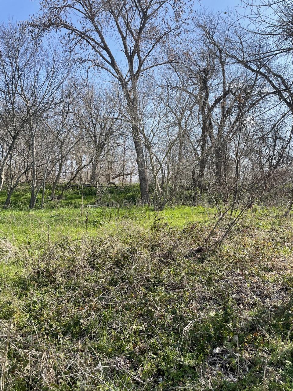 301 Fm 1979 Property Photo 22